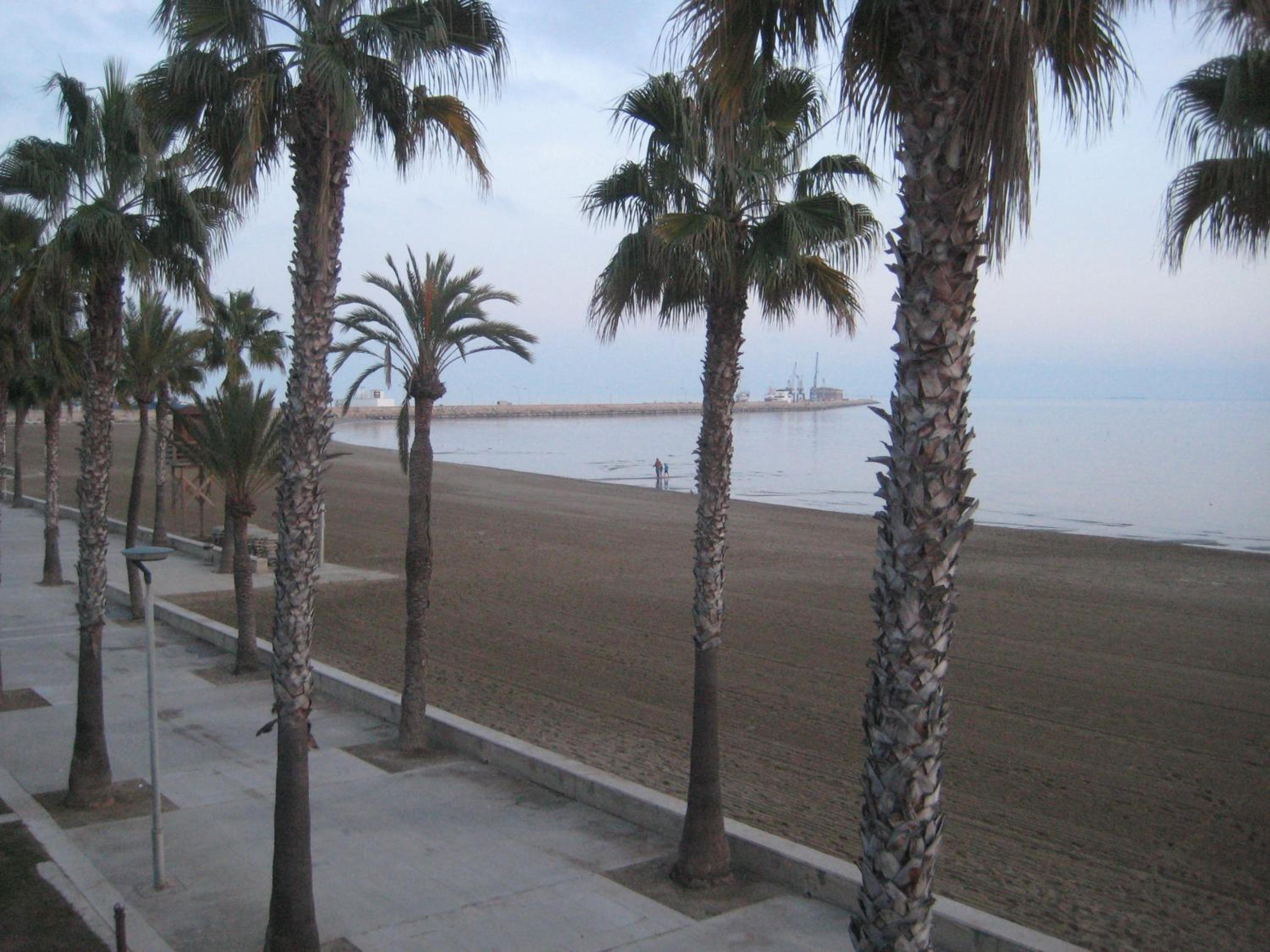 Photo 32