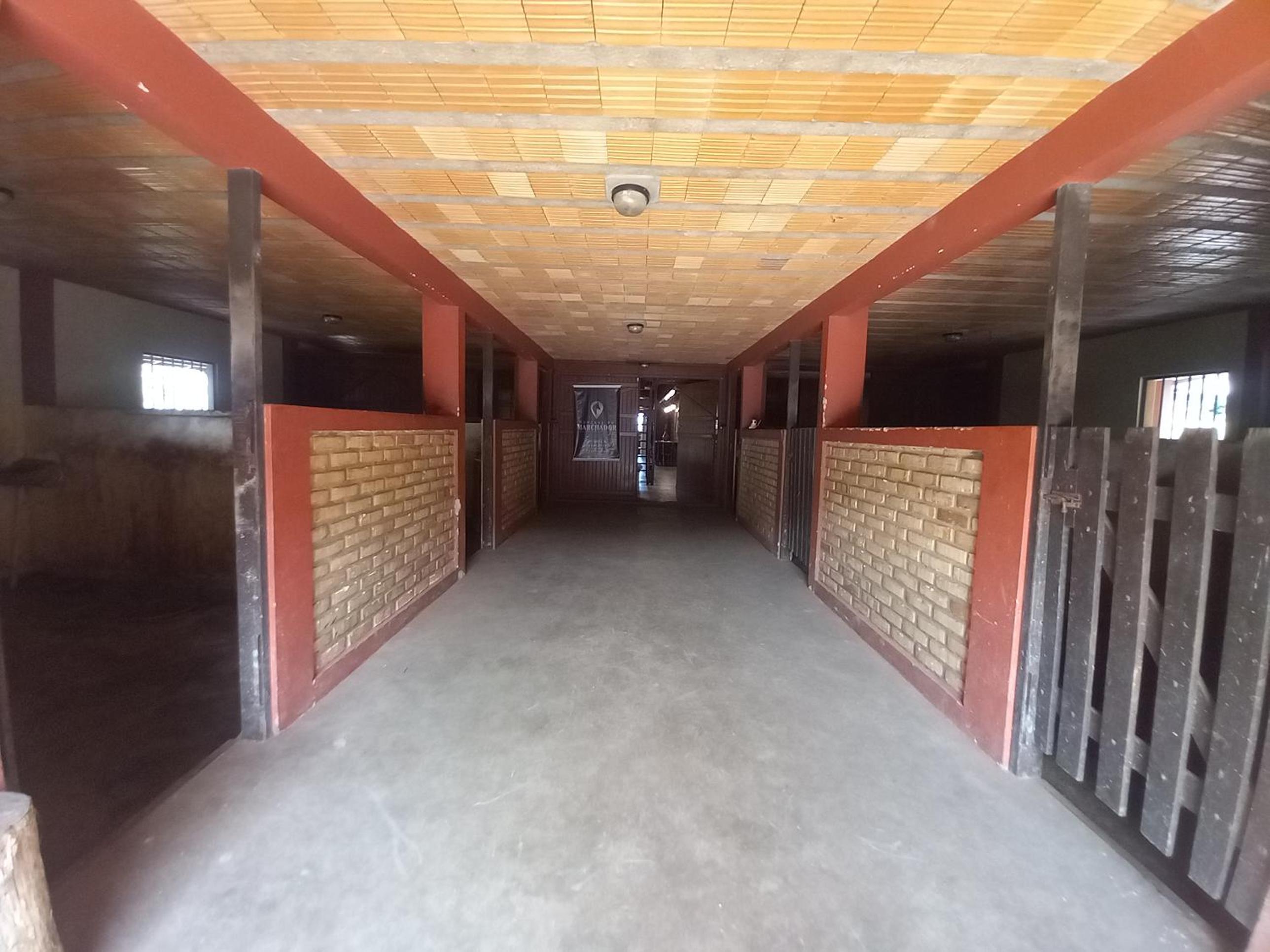 Haras Central do Marchador - Casa de campo