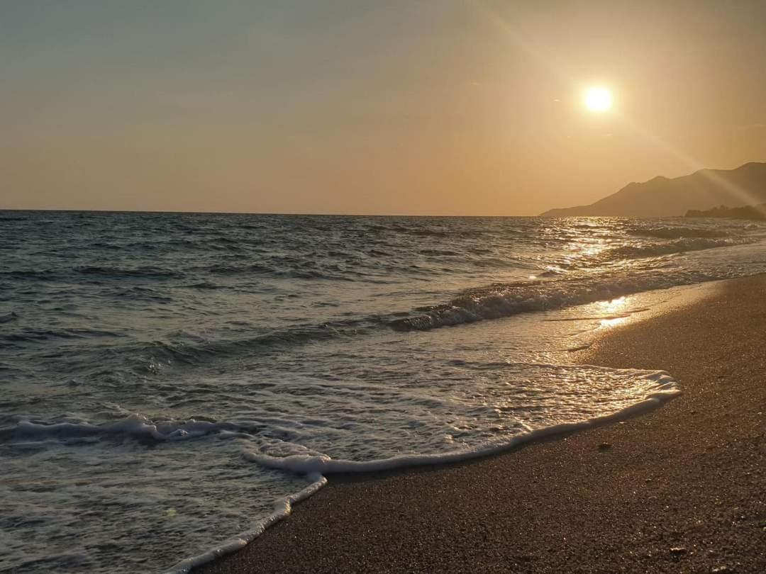 Sunflower by the Sea, Alexandroupolis view 4