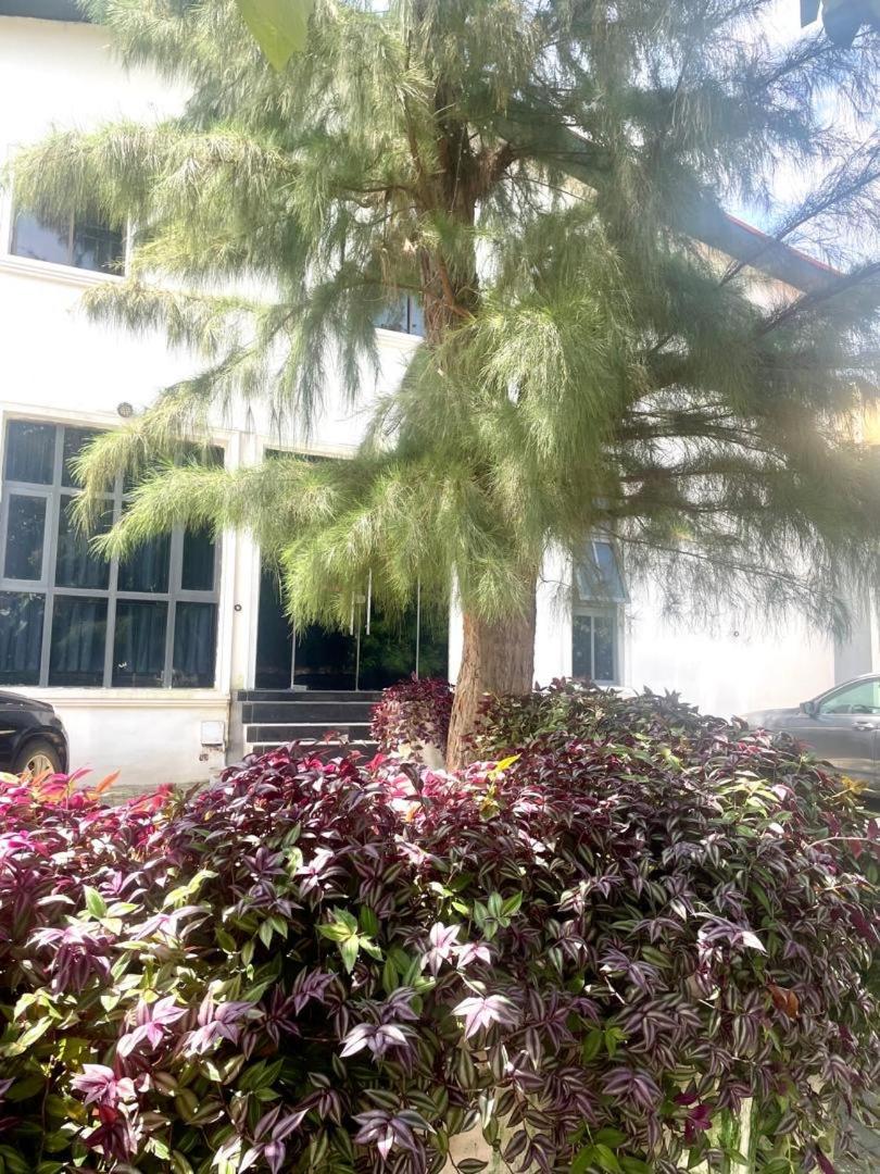 Wine House, Maitama, Abuja view 4