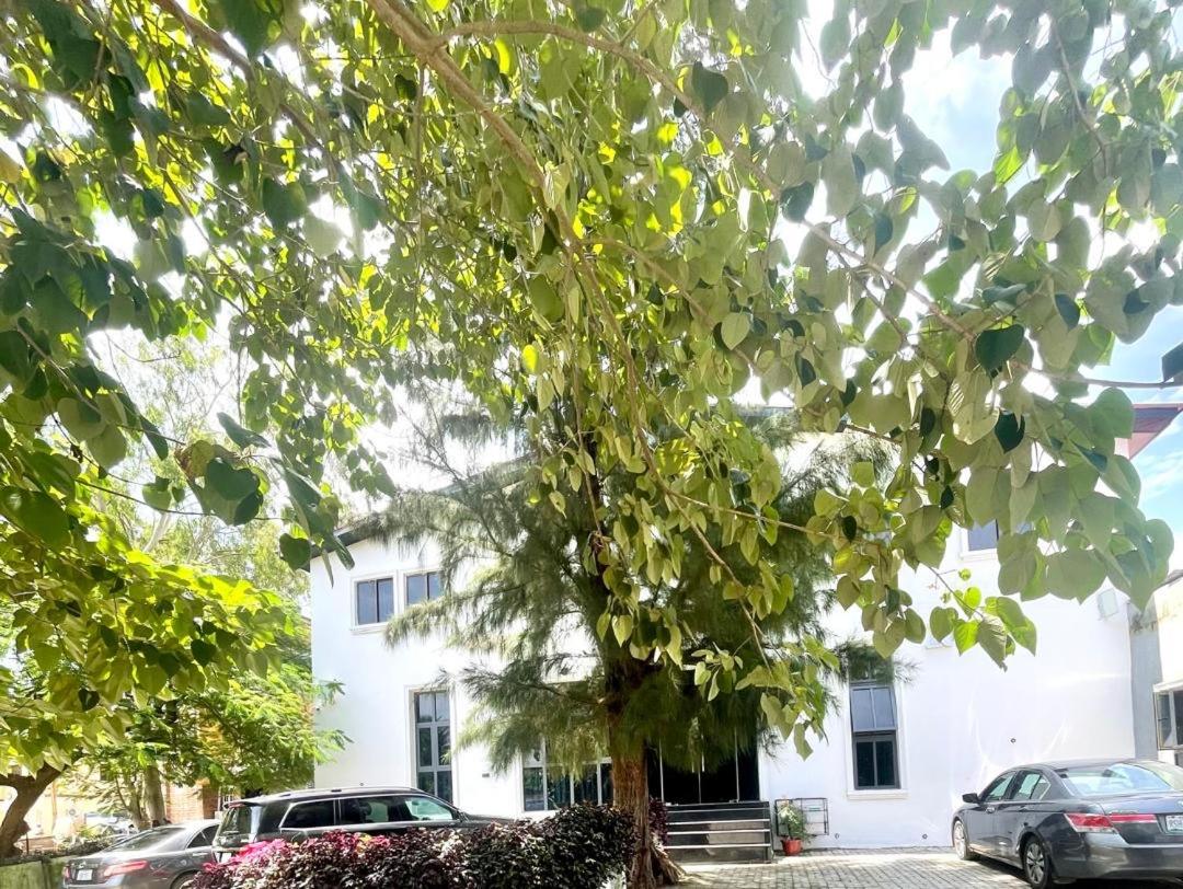 Wine House, Maitama, Abuja view 2