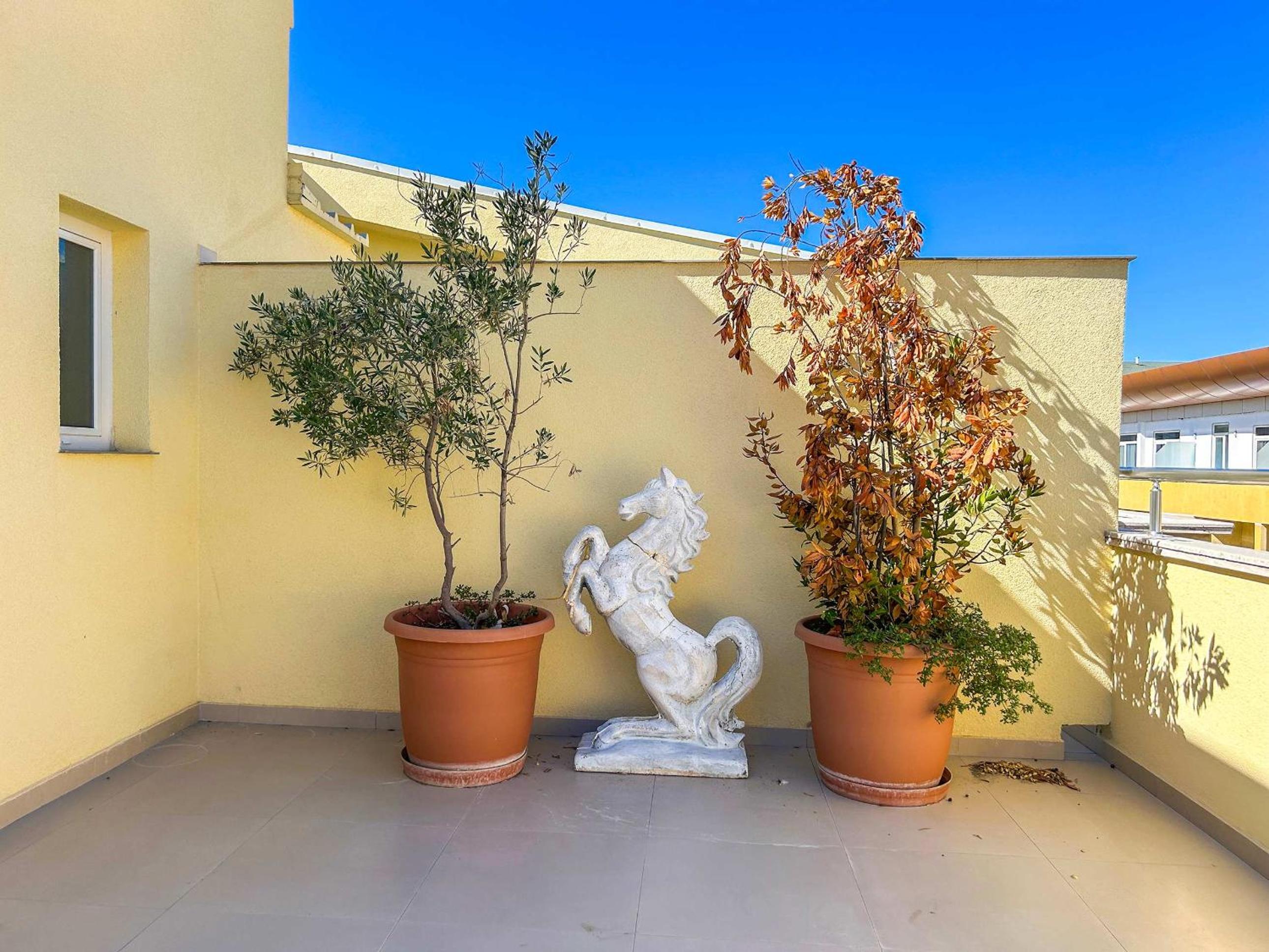 Apartment with terrace 1321