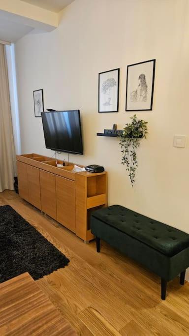 Cozy Mountain Apartment VIDIK