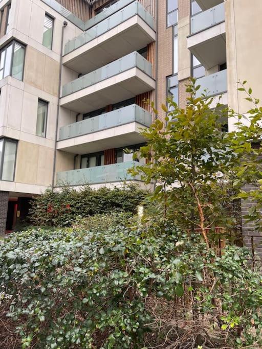 3-bed 2-bath designer apt in Canada Water