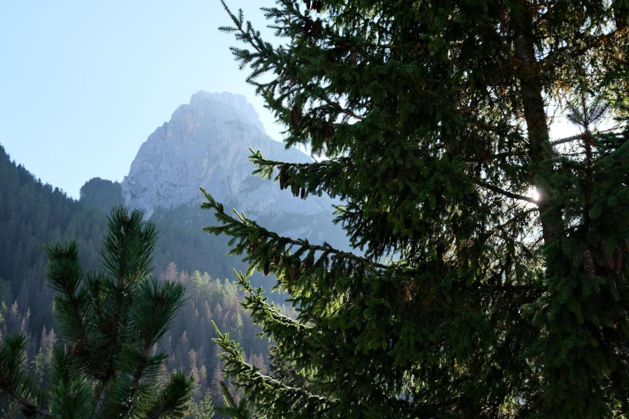 Photo 42