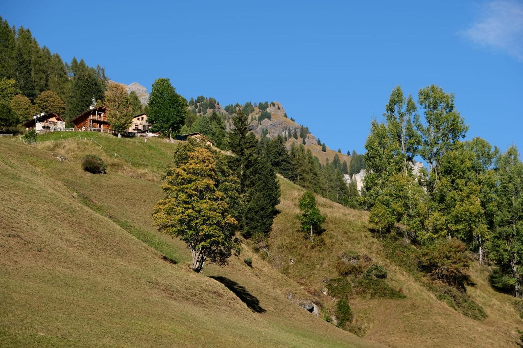 Photo 46