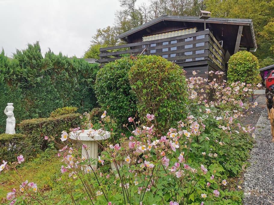 Chalet Paradise Cottage