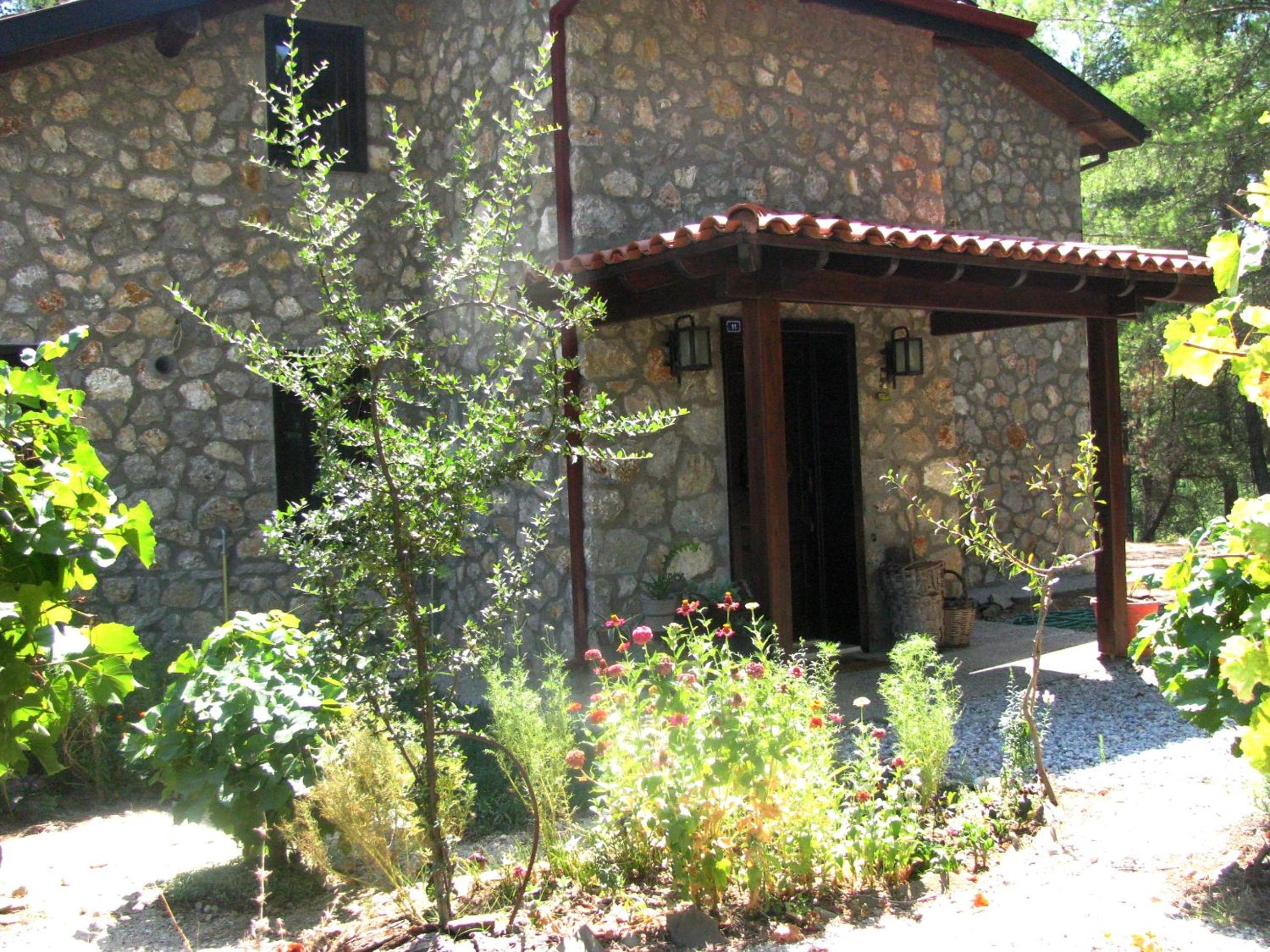 Photo 41