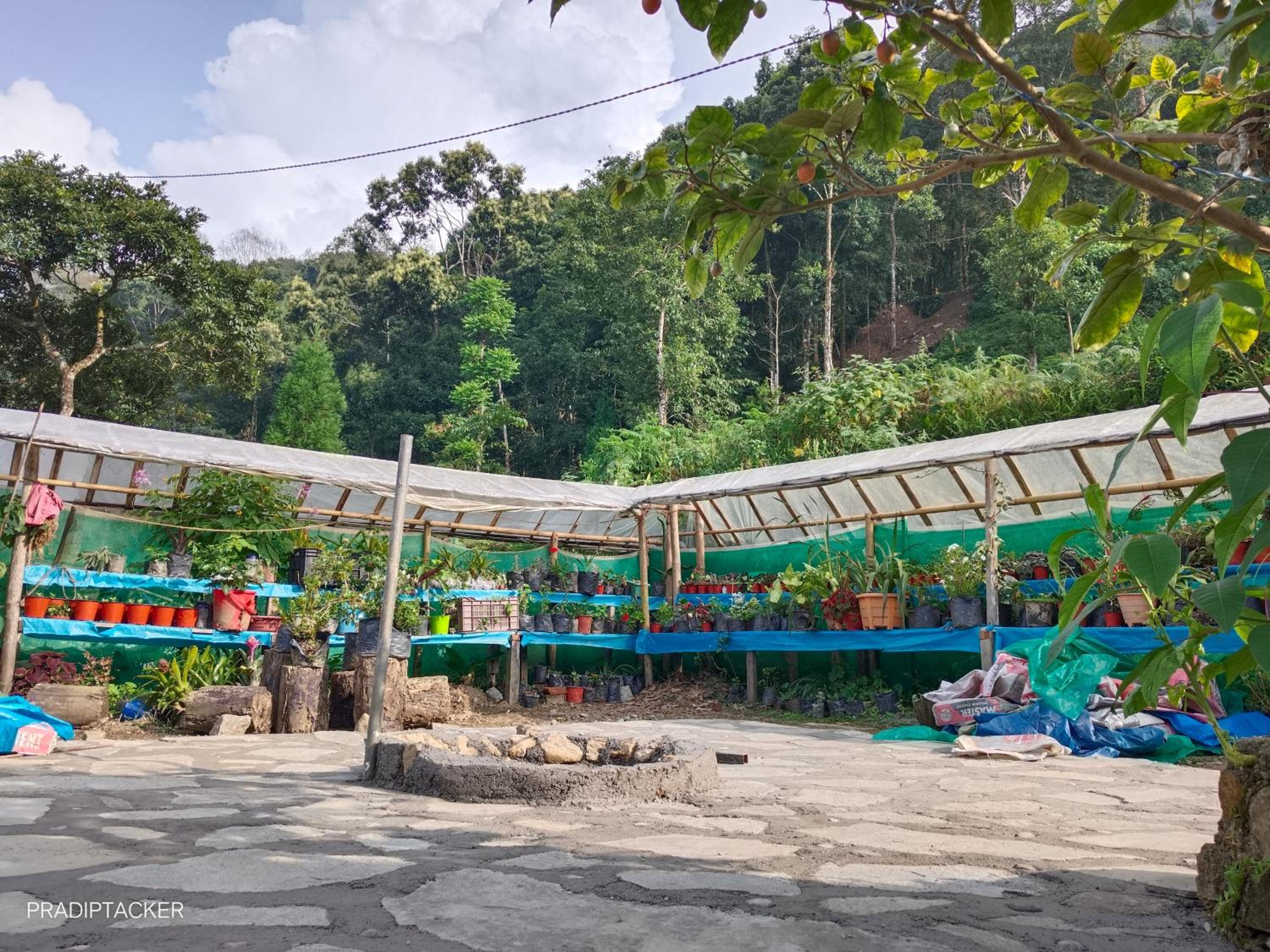 Baidartar Wanderdwell Homestay