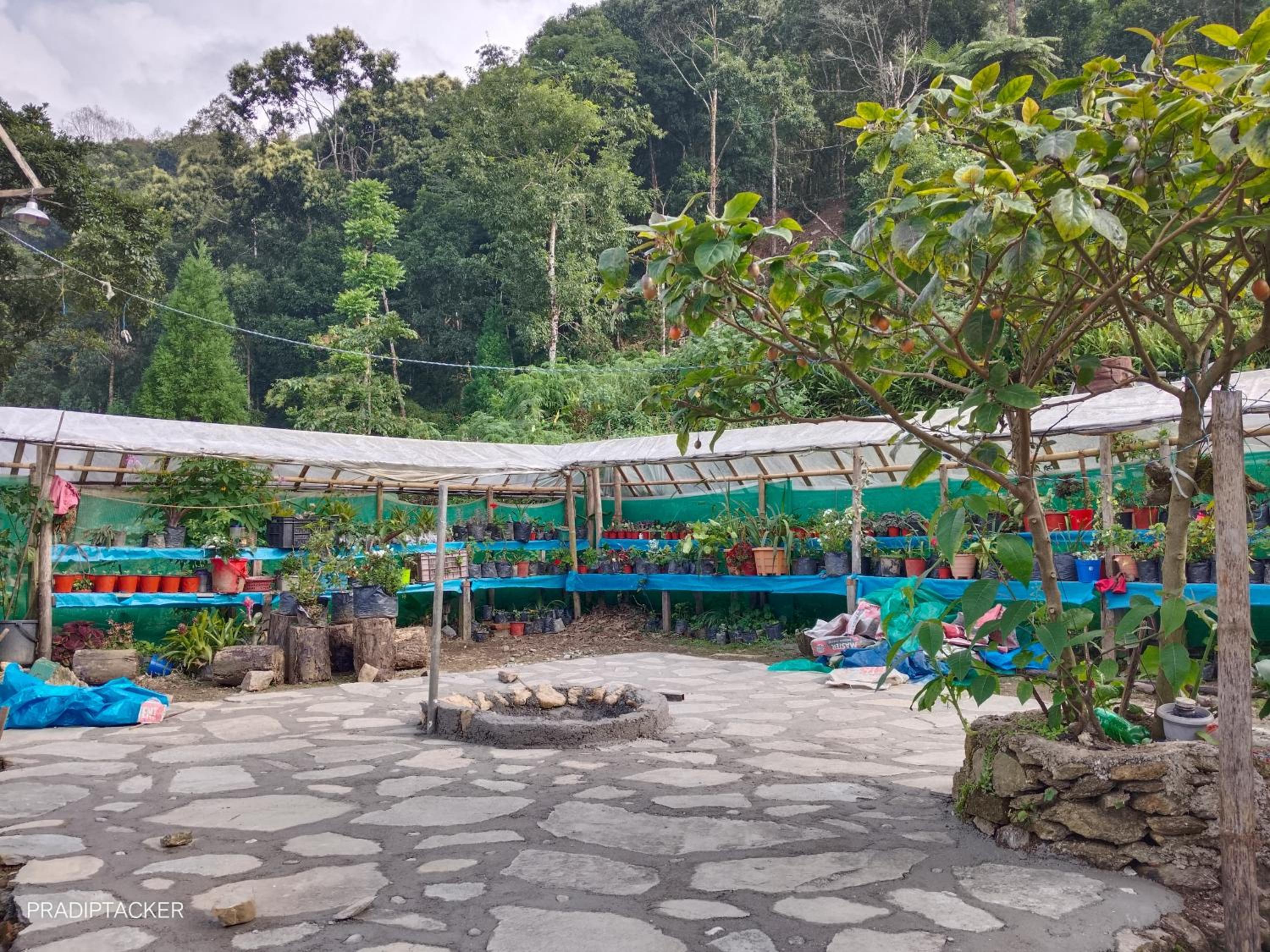 Baidartar Wanderdwell Homestay