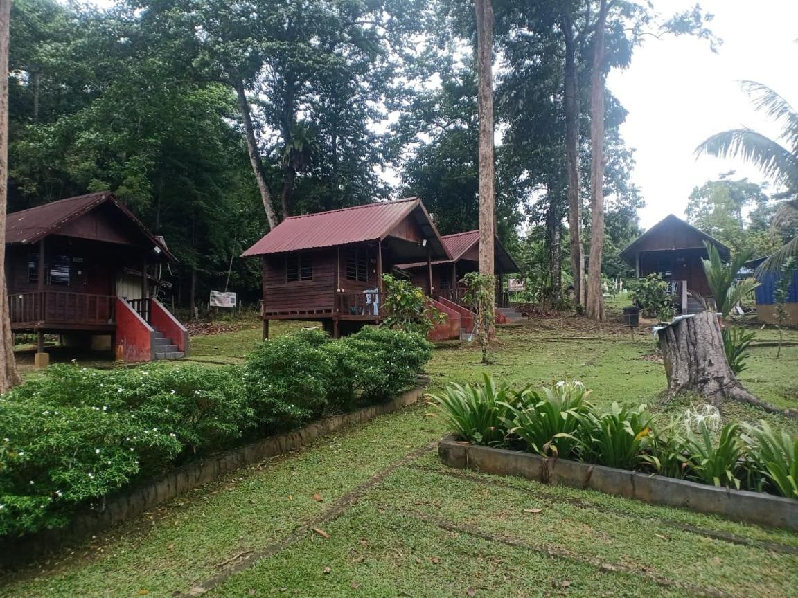 Gandah Forest Park Chalet photo 3