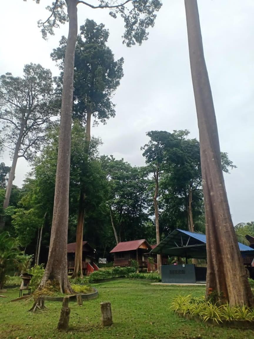 Gandah Forest Park Chalet photo 8