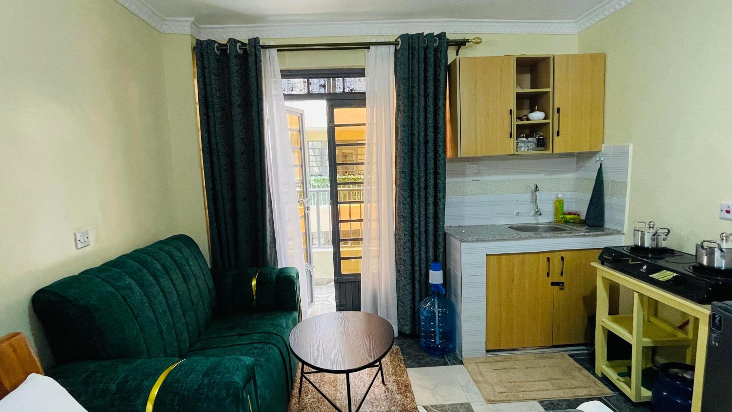 Fully Furnished Studio Apartment at Kamakis Opposite Quickmart view 4