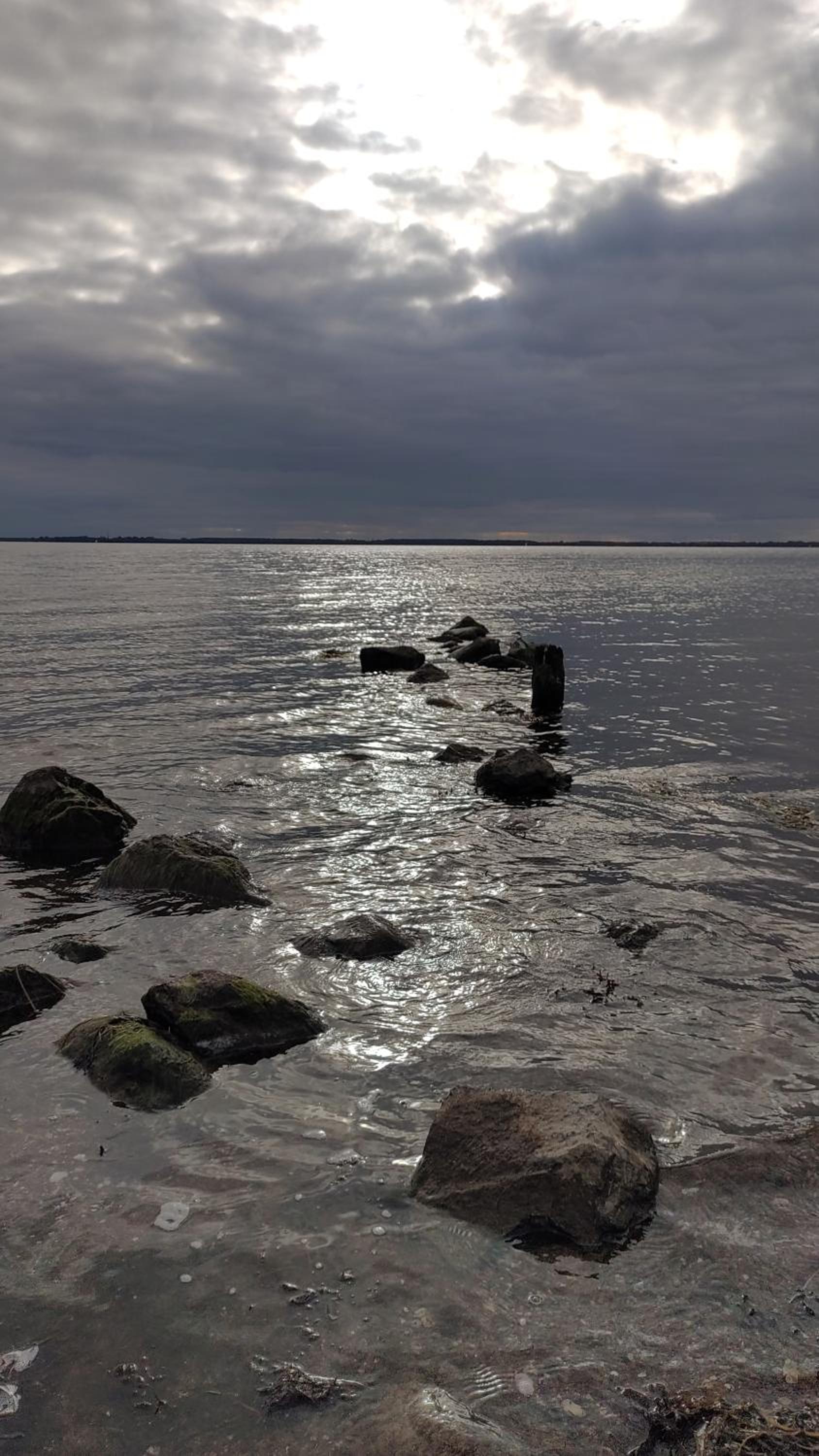 Ostsee Flair & Natur Idyll auf Rügen