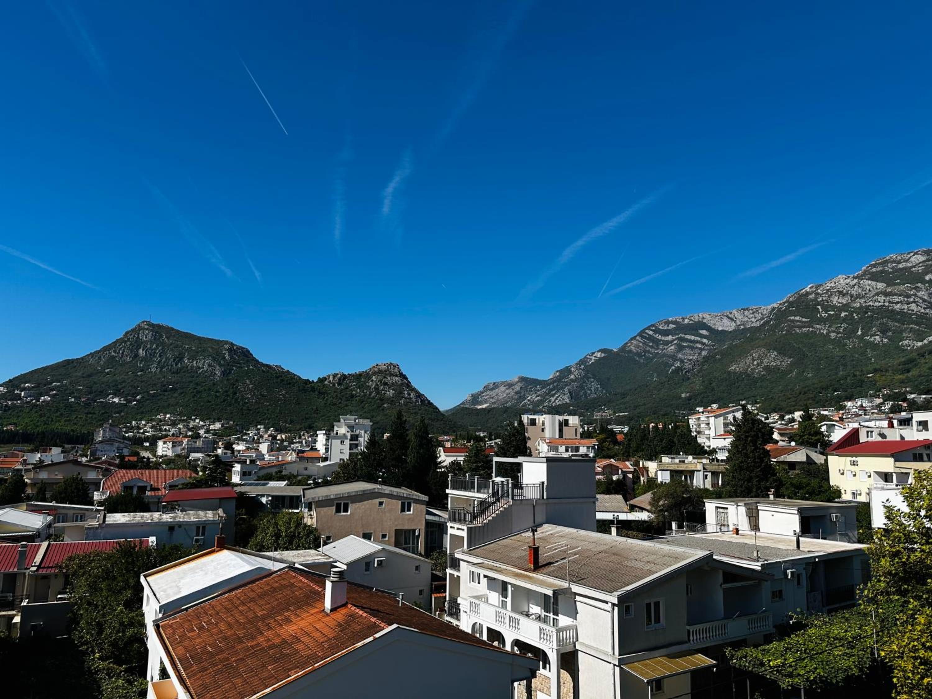 MonteСharm
