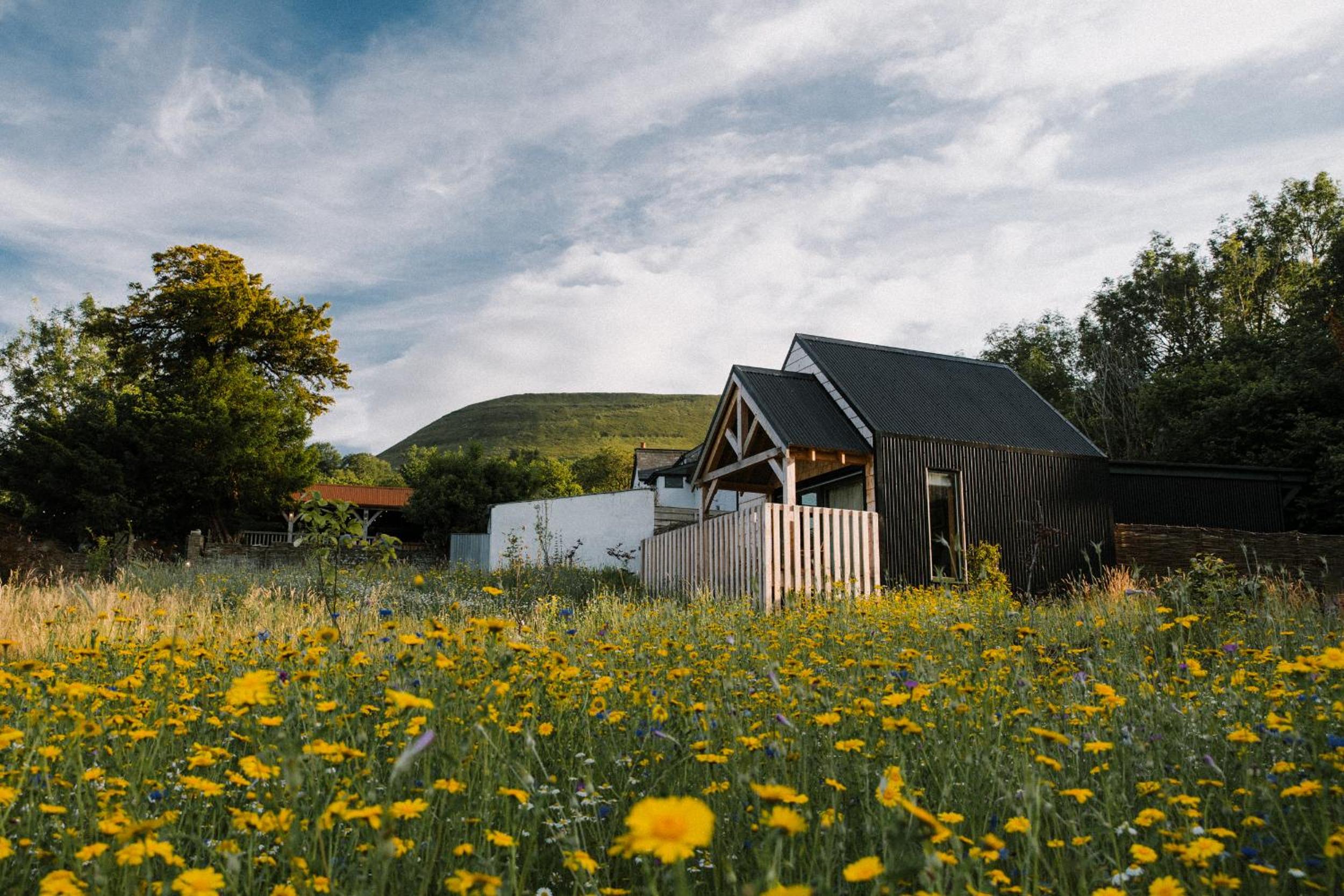 The Bulls Head Wild Cabins