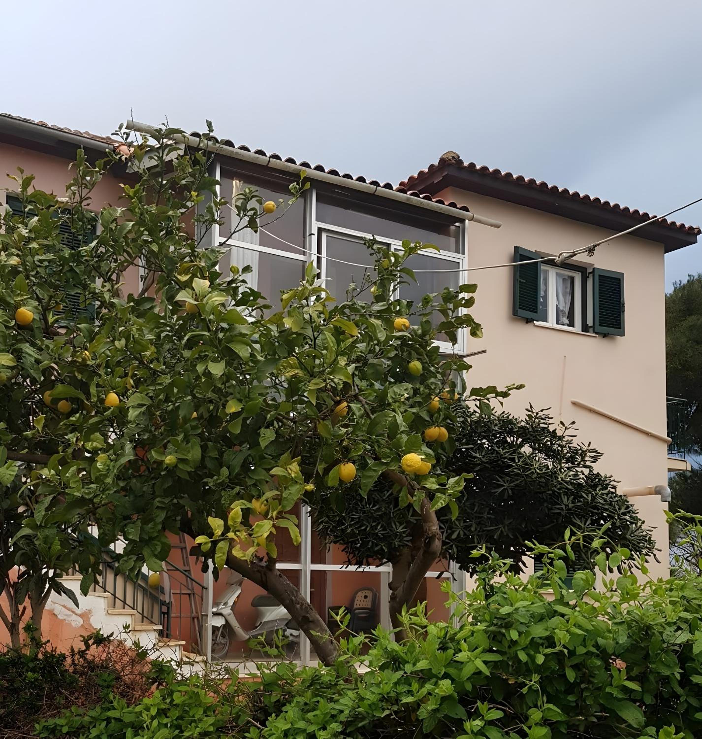 Photo 12