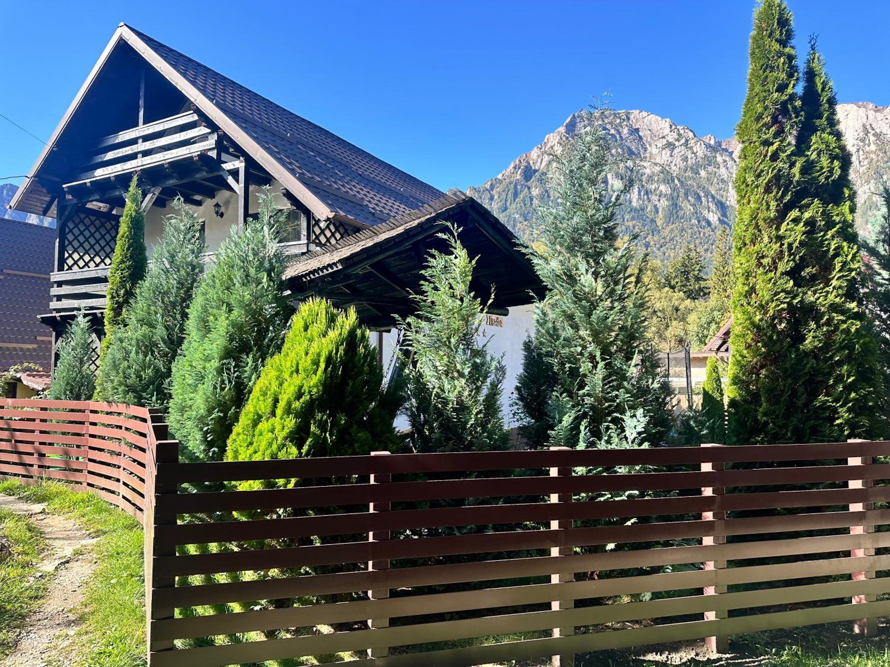 Casa Nadia Busteni view 5