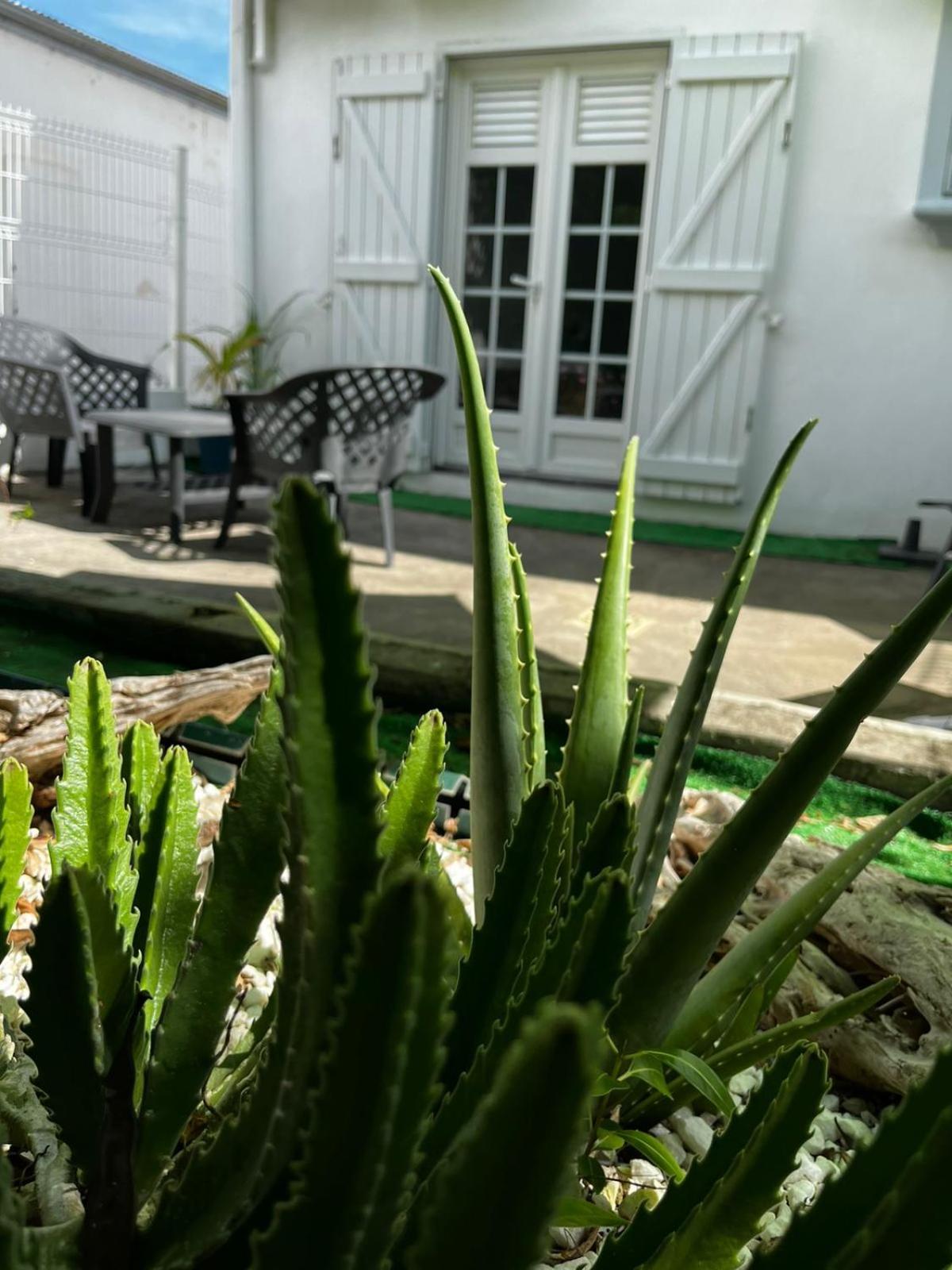 Jasmin - Appartement face plage Diamant