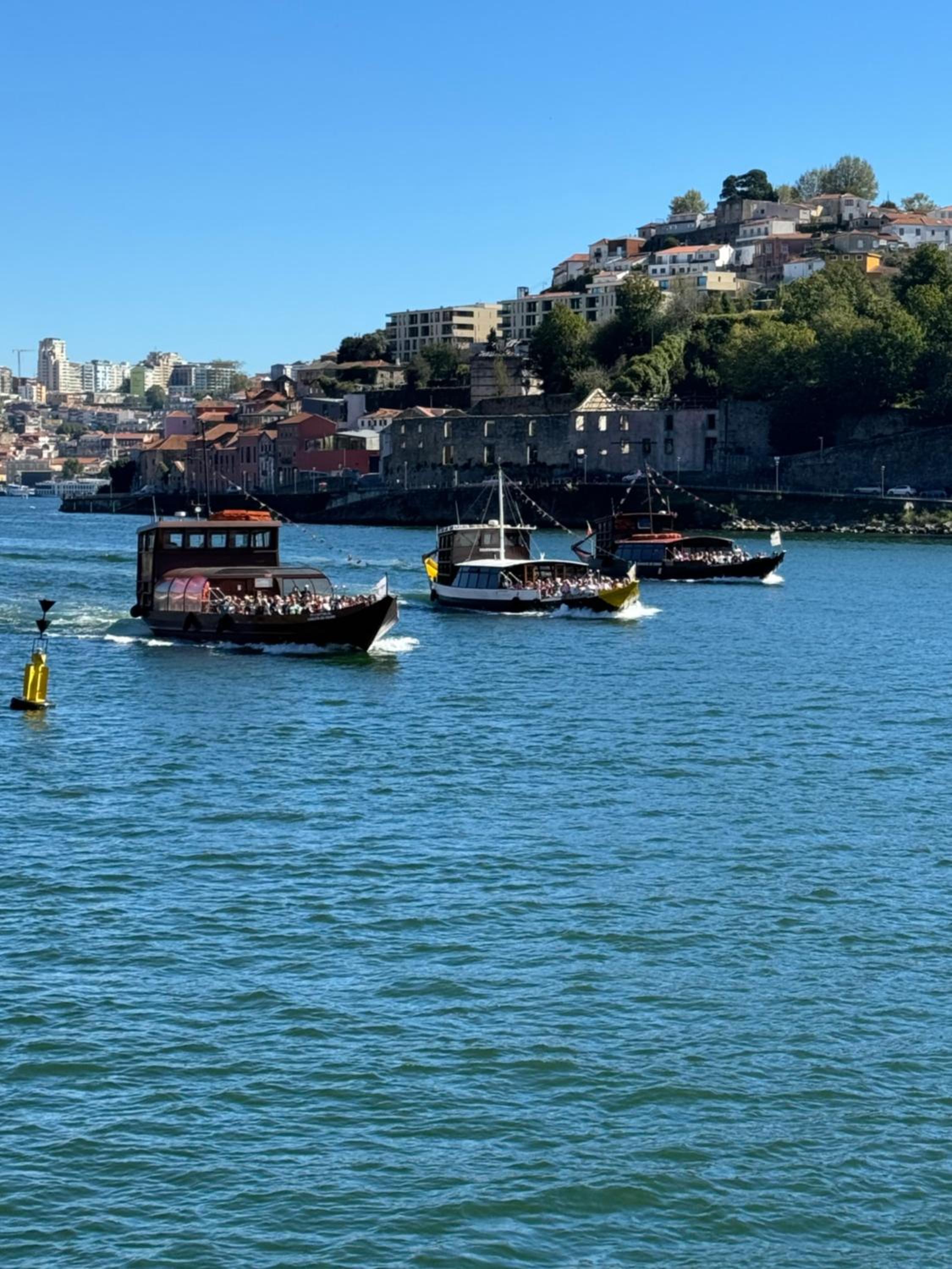Luxury stay Premium Douro River & Sunset views view 5