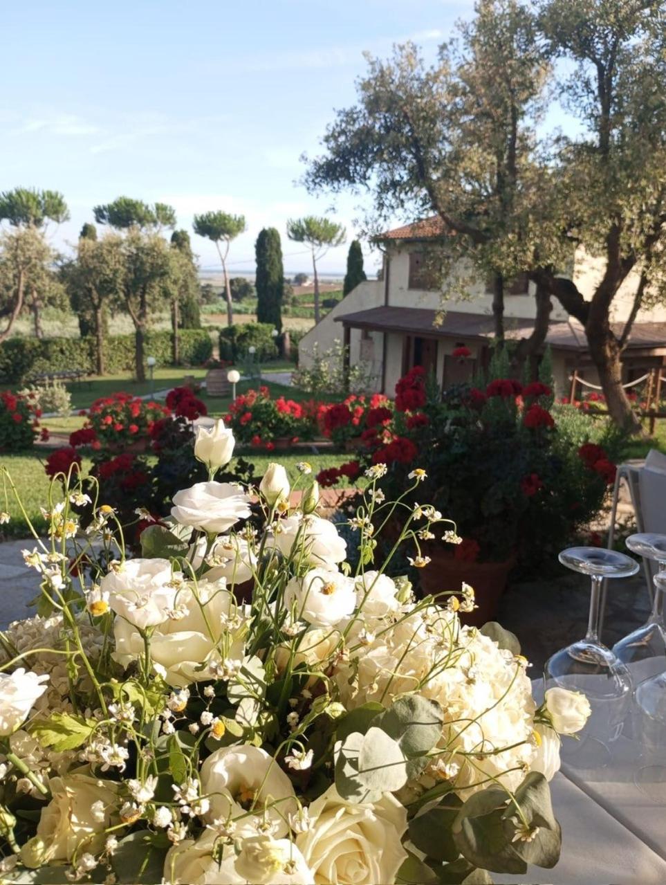 Agriturismo La Luciana