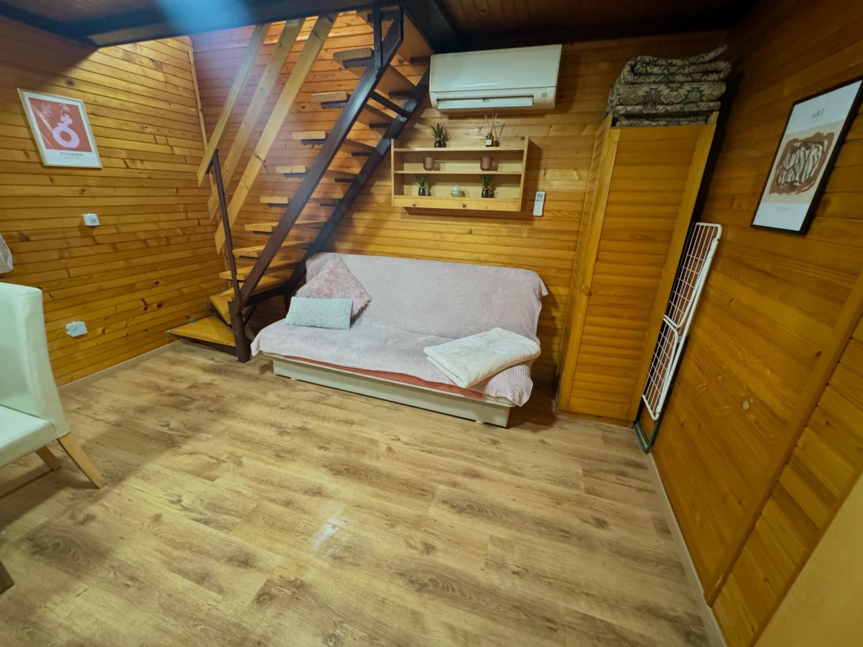 Teddy view 4