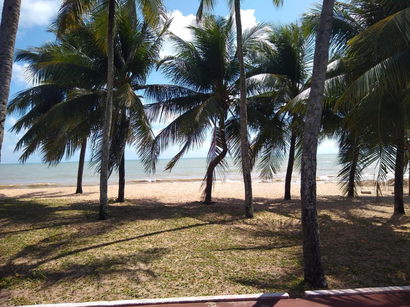 Onde o mar e o verde da mata se encontram, desfrute desse paraíso, apt 2 quartos pertinho da orla de Cabo de Branco