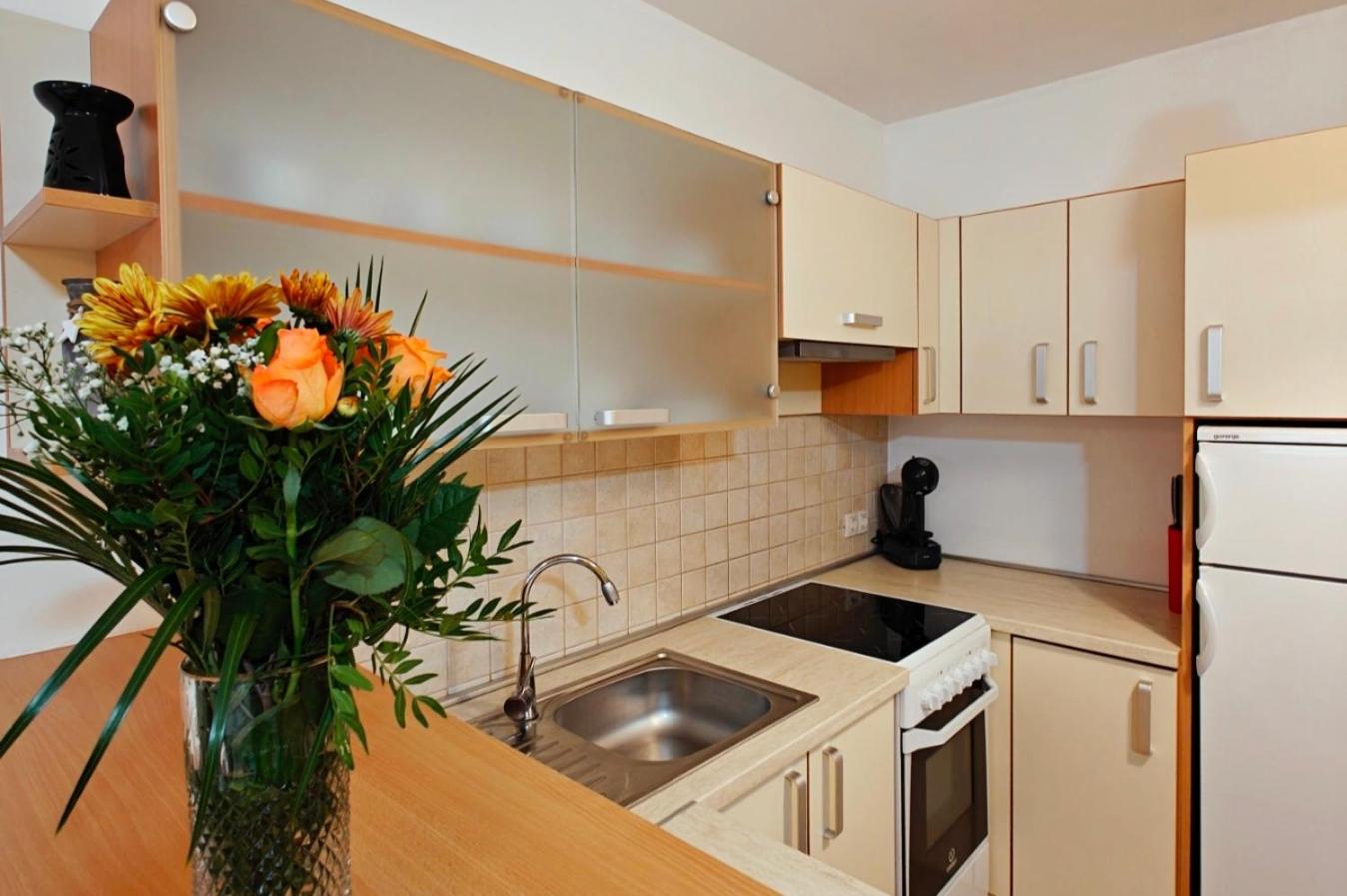 Apartment Marusa