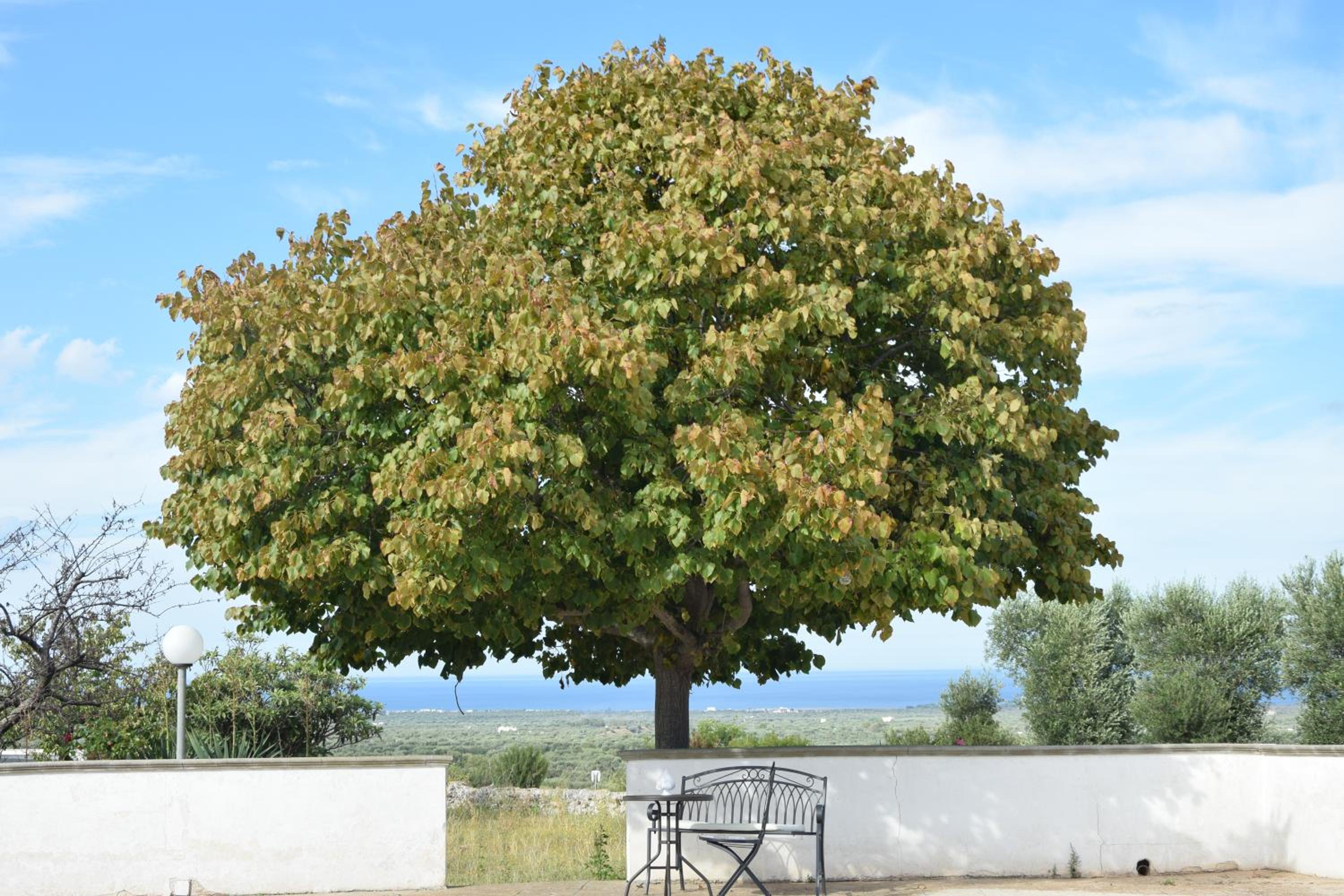 Villa Mimì