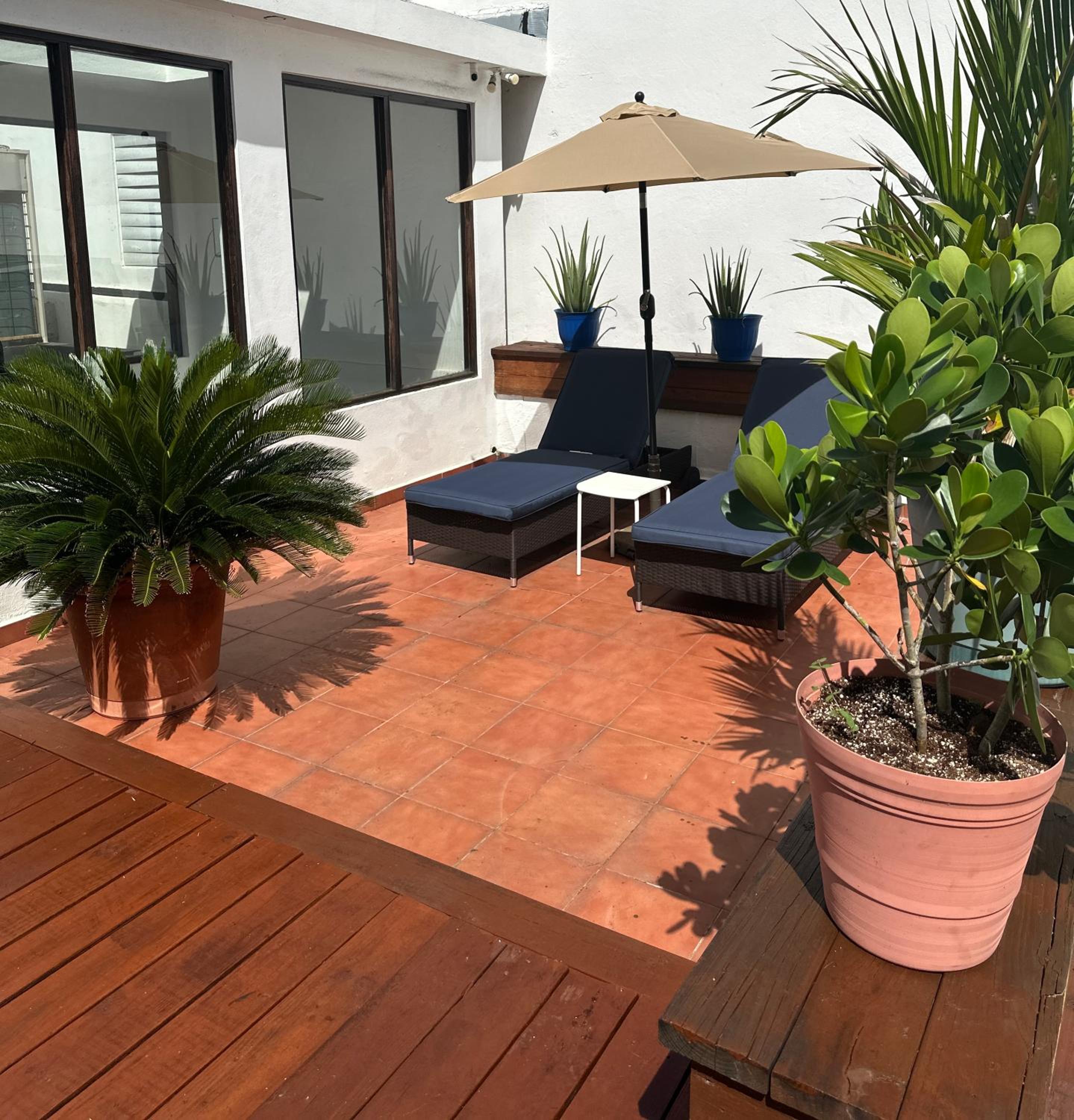 352 Guest House Hotel Boutique - Property Image 3