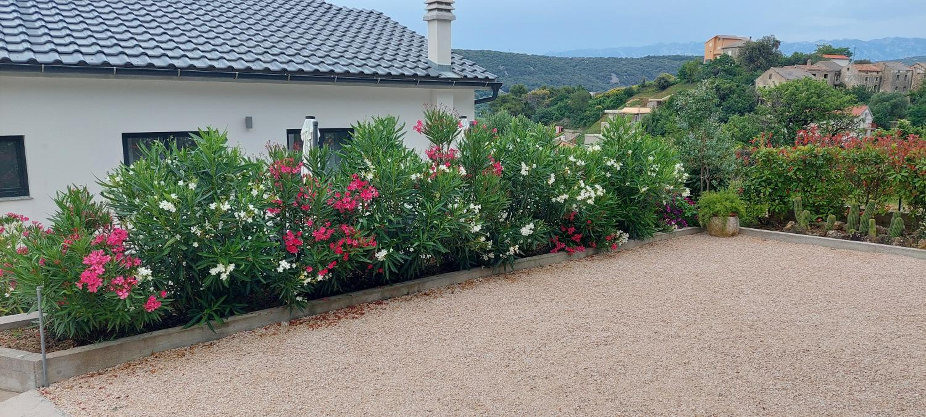 Holiday apartments Cecilija
