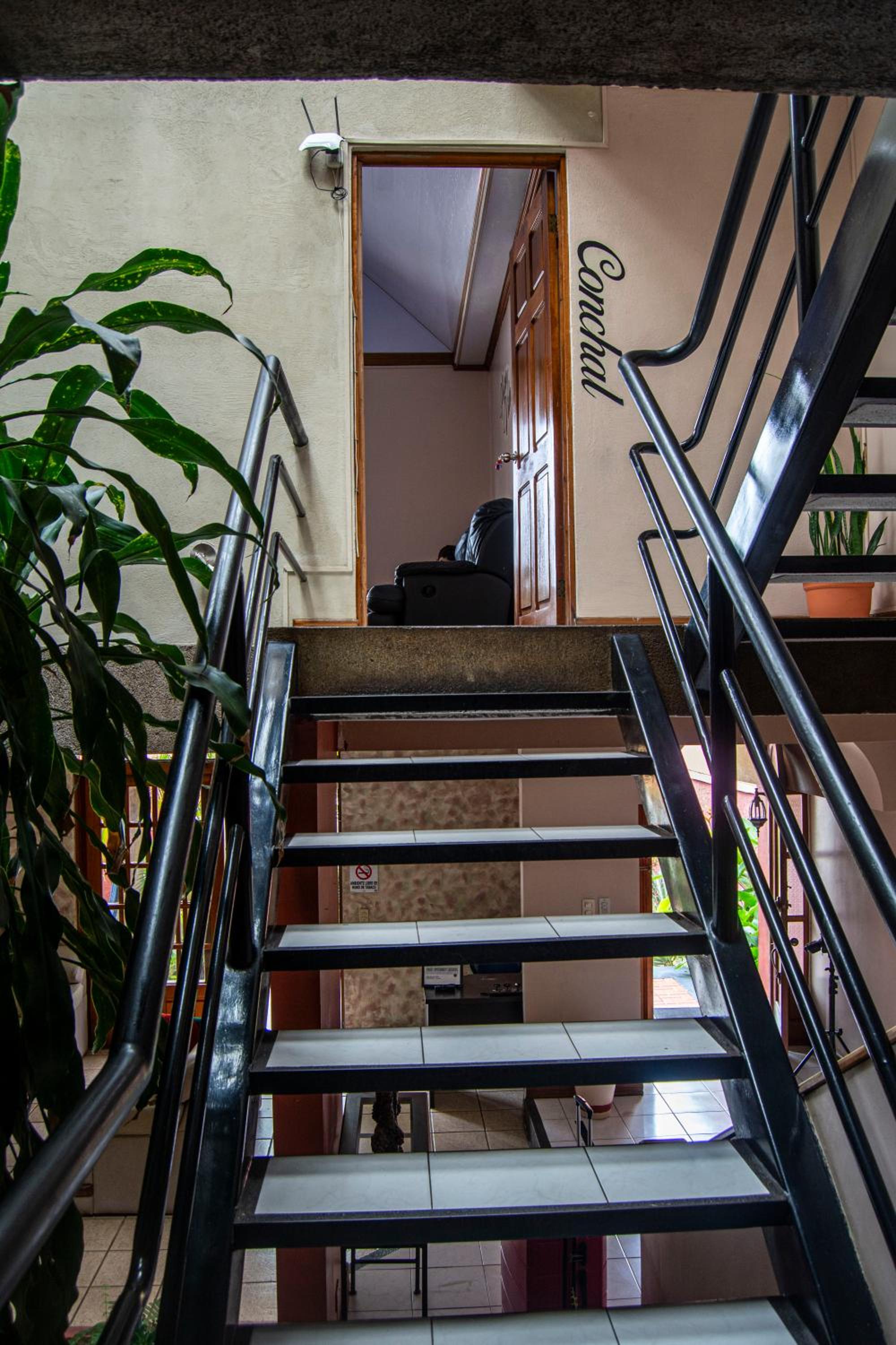 Boruka House