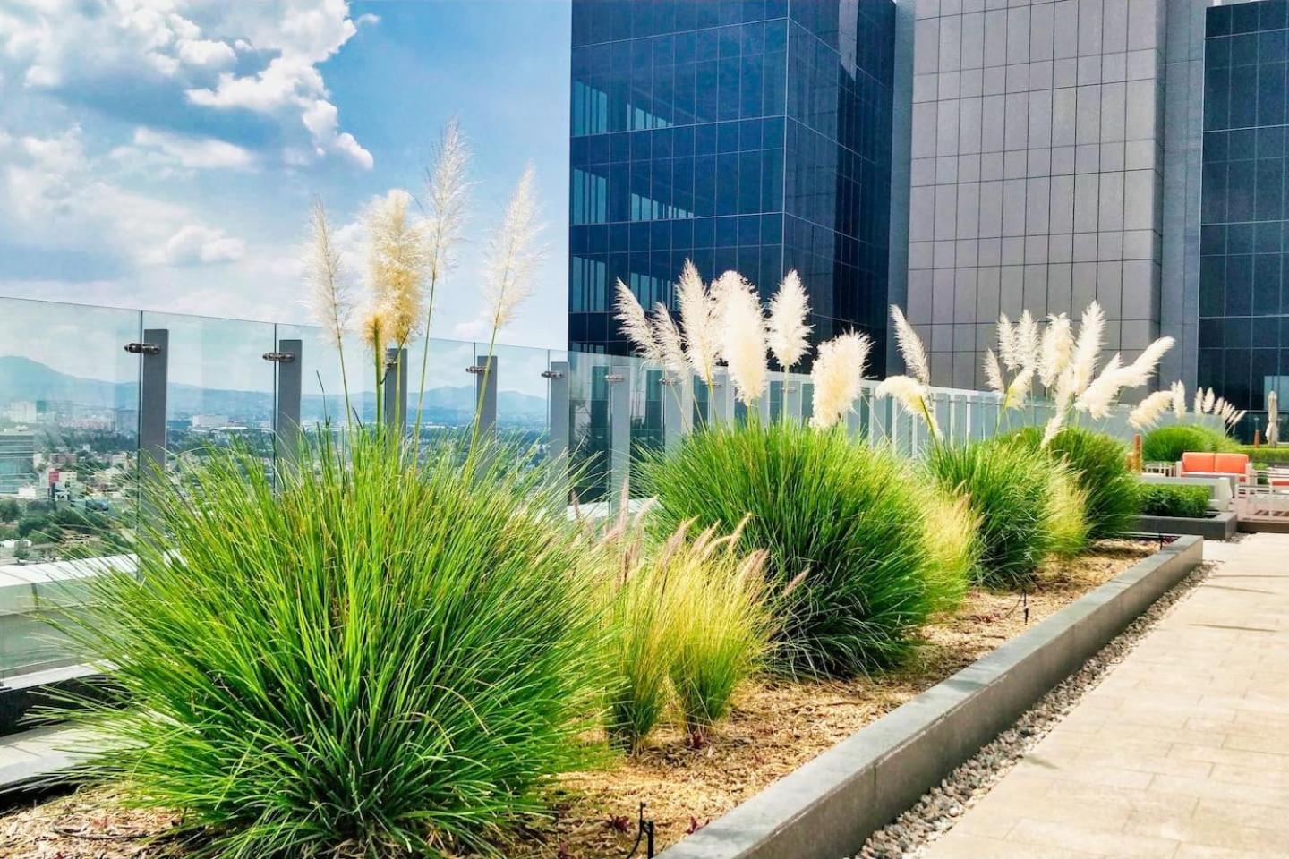 Stunning Polanco PH Views, High Speed WiFI photo 2
