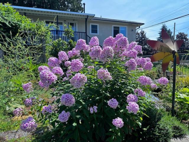 Entire house 2B2B with Gardenview near SFU  Skytrain - Property Image 2