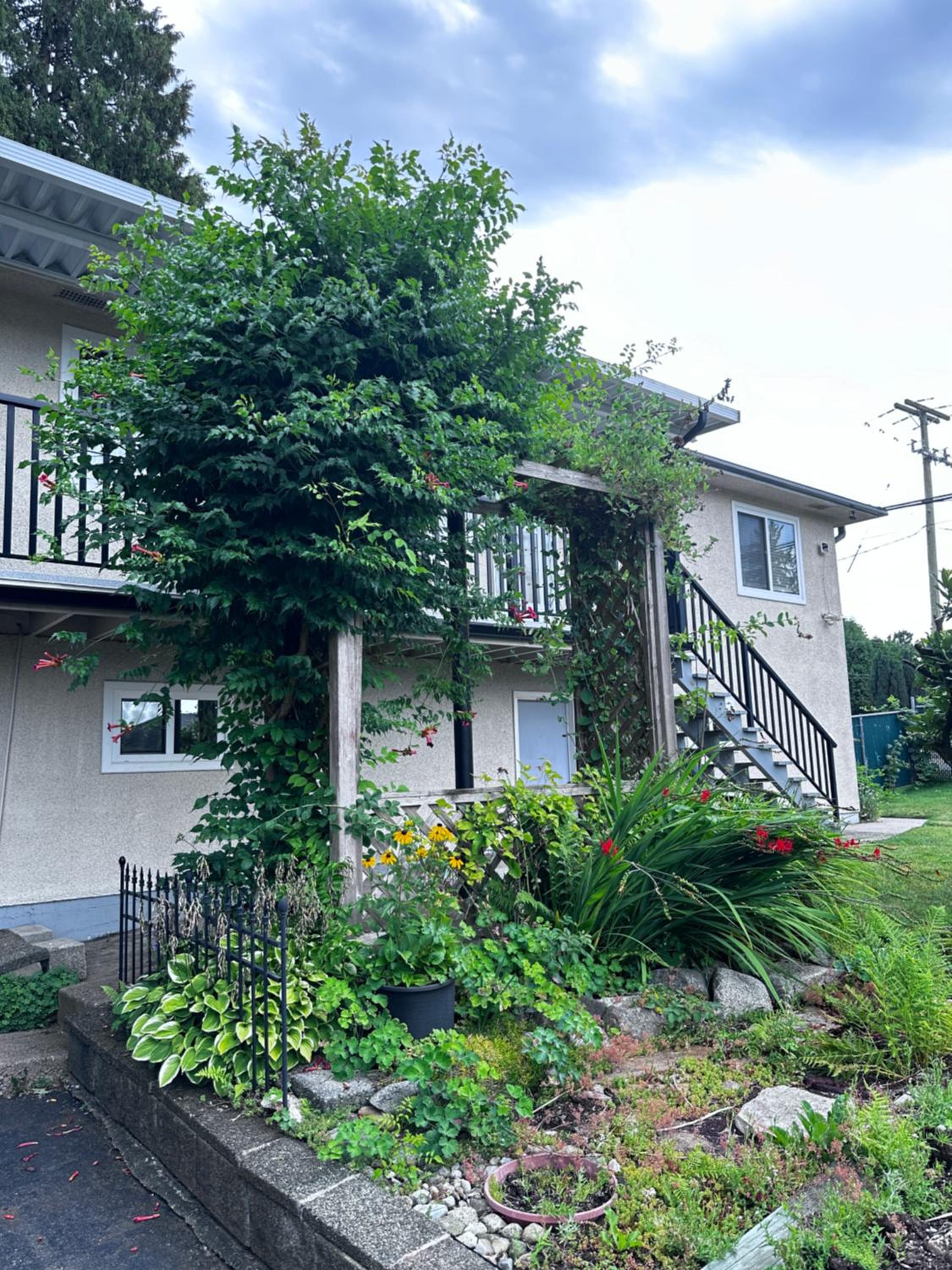 Entire house 2B2B with Gardenview near SFU  Skytrain - Property Image 10