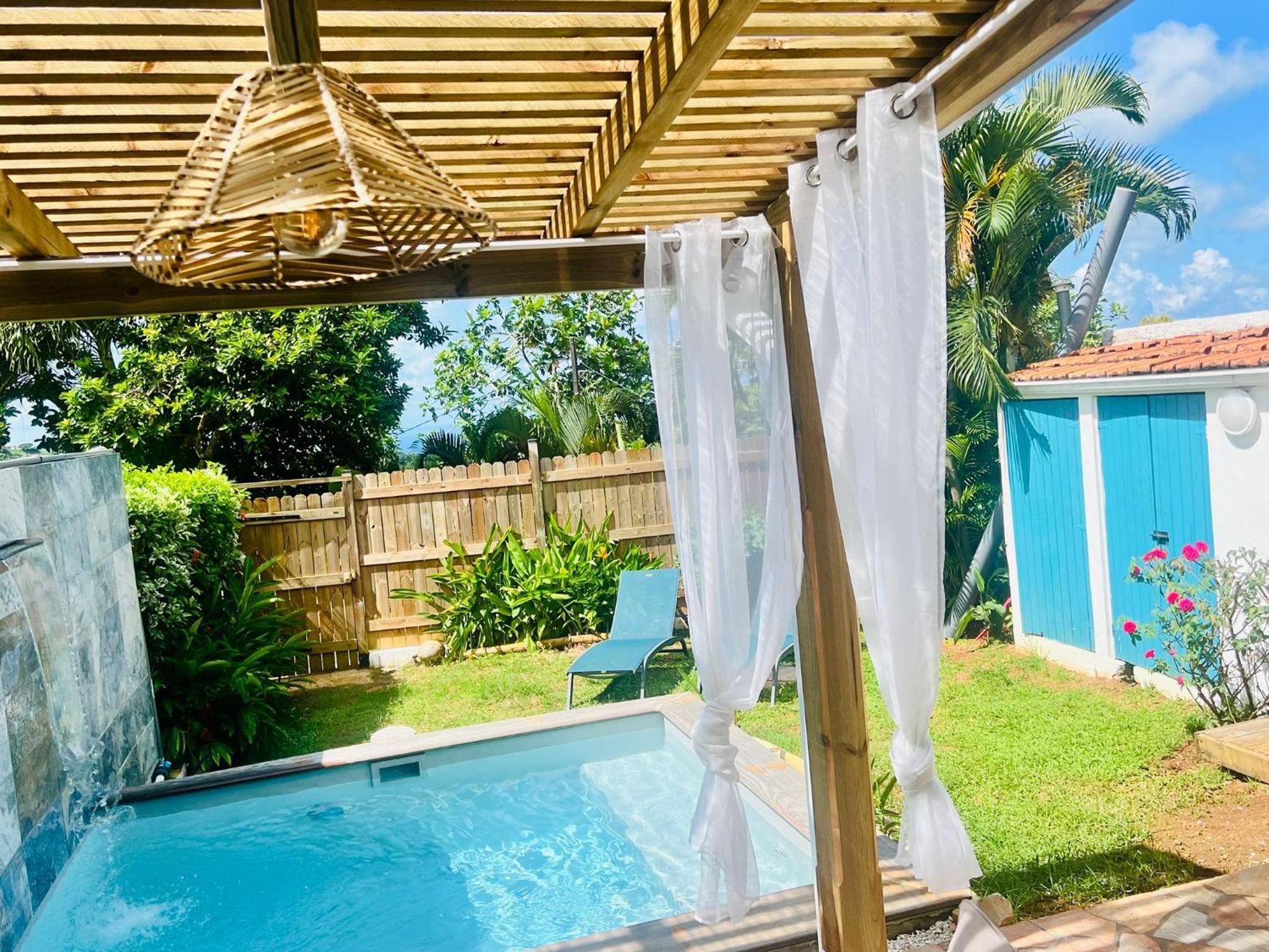 Géko, piscine, jardin, paisible view 4