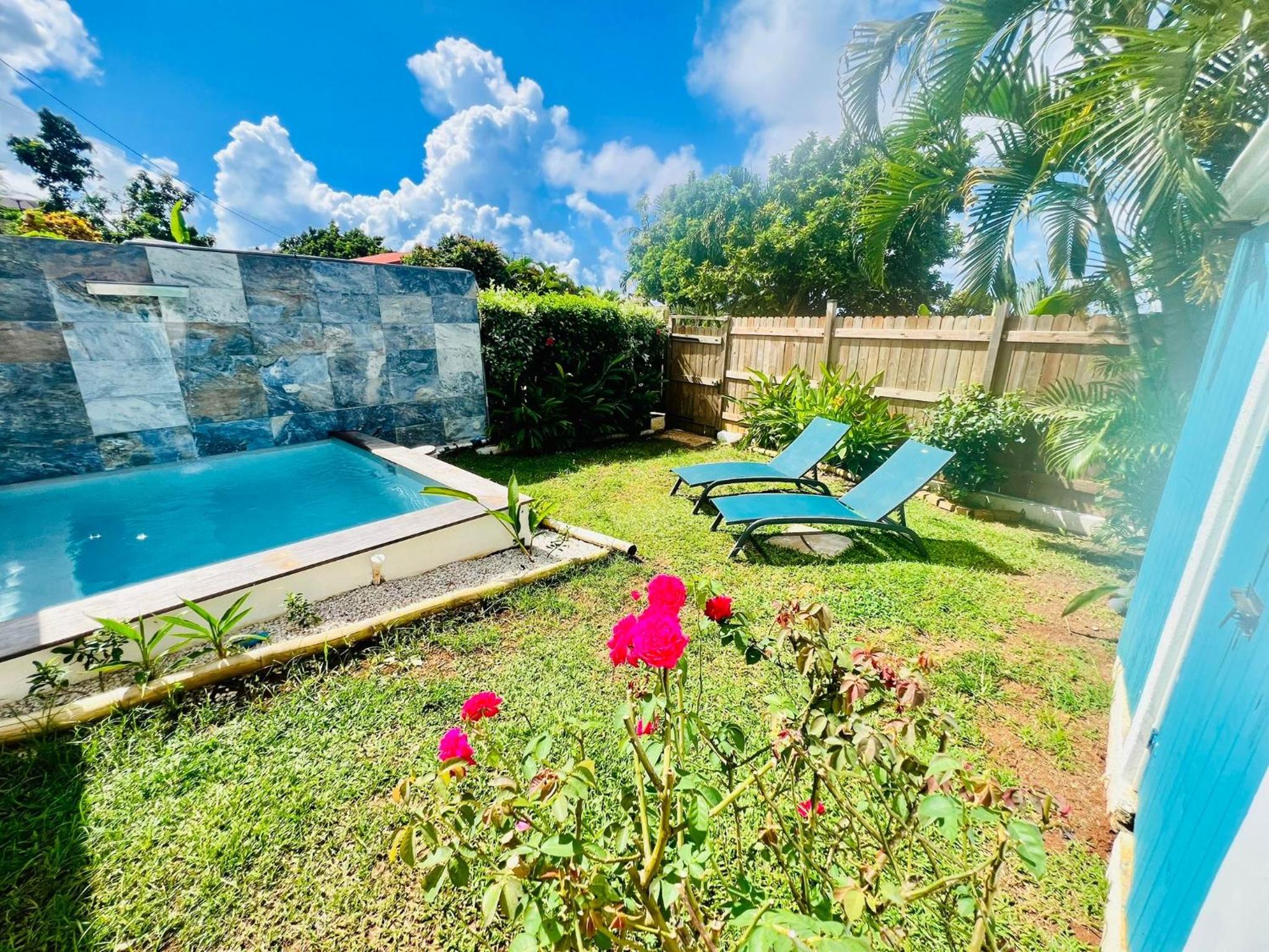 Géko, piscine, jardin, paisible view 2