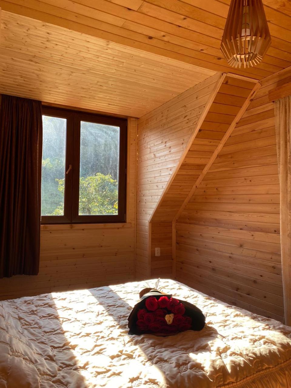 Shemoqmedi chalet