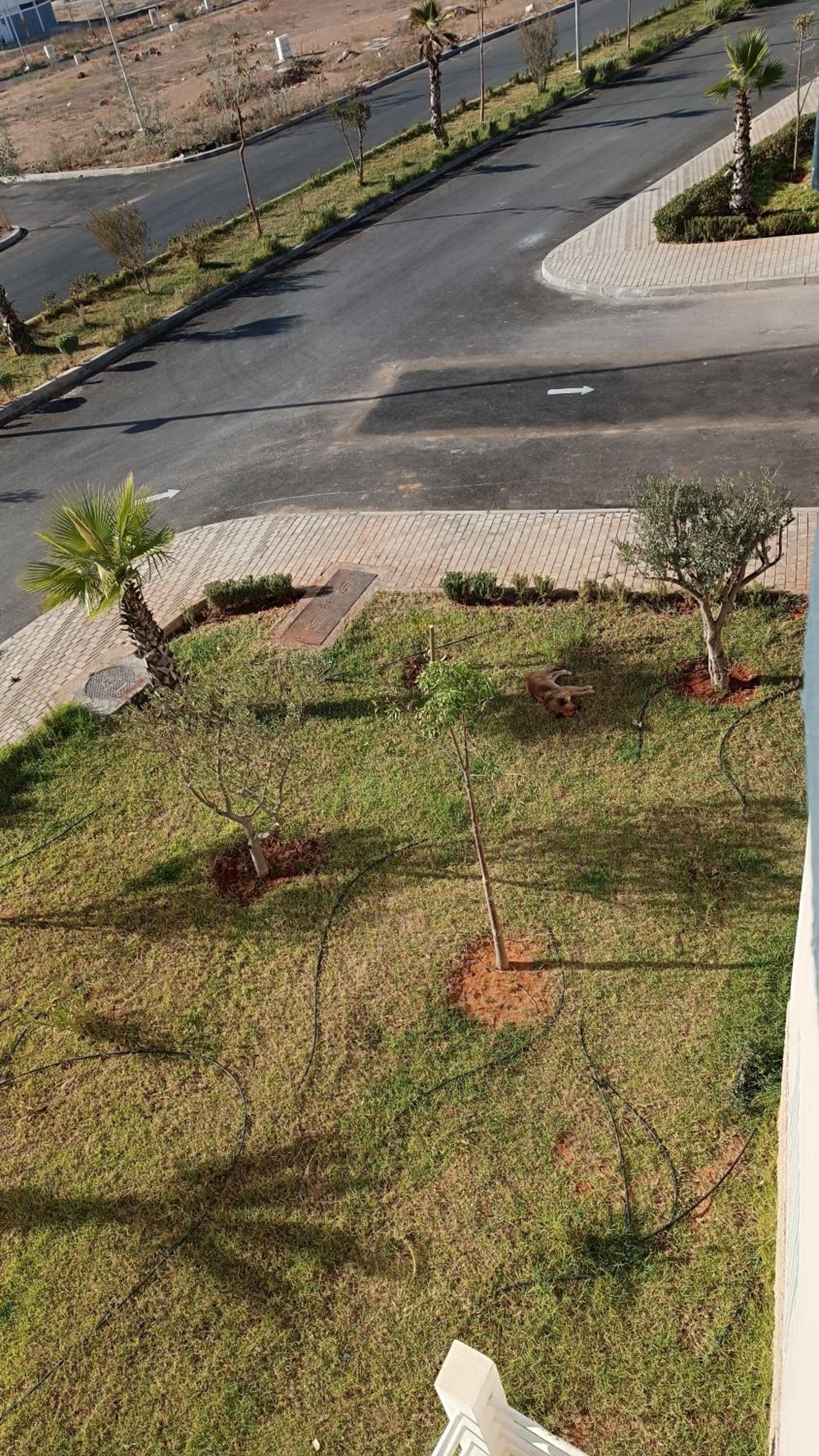 Rabat Vacations - Dar Shama - Rabat - Property Image 16