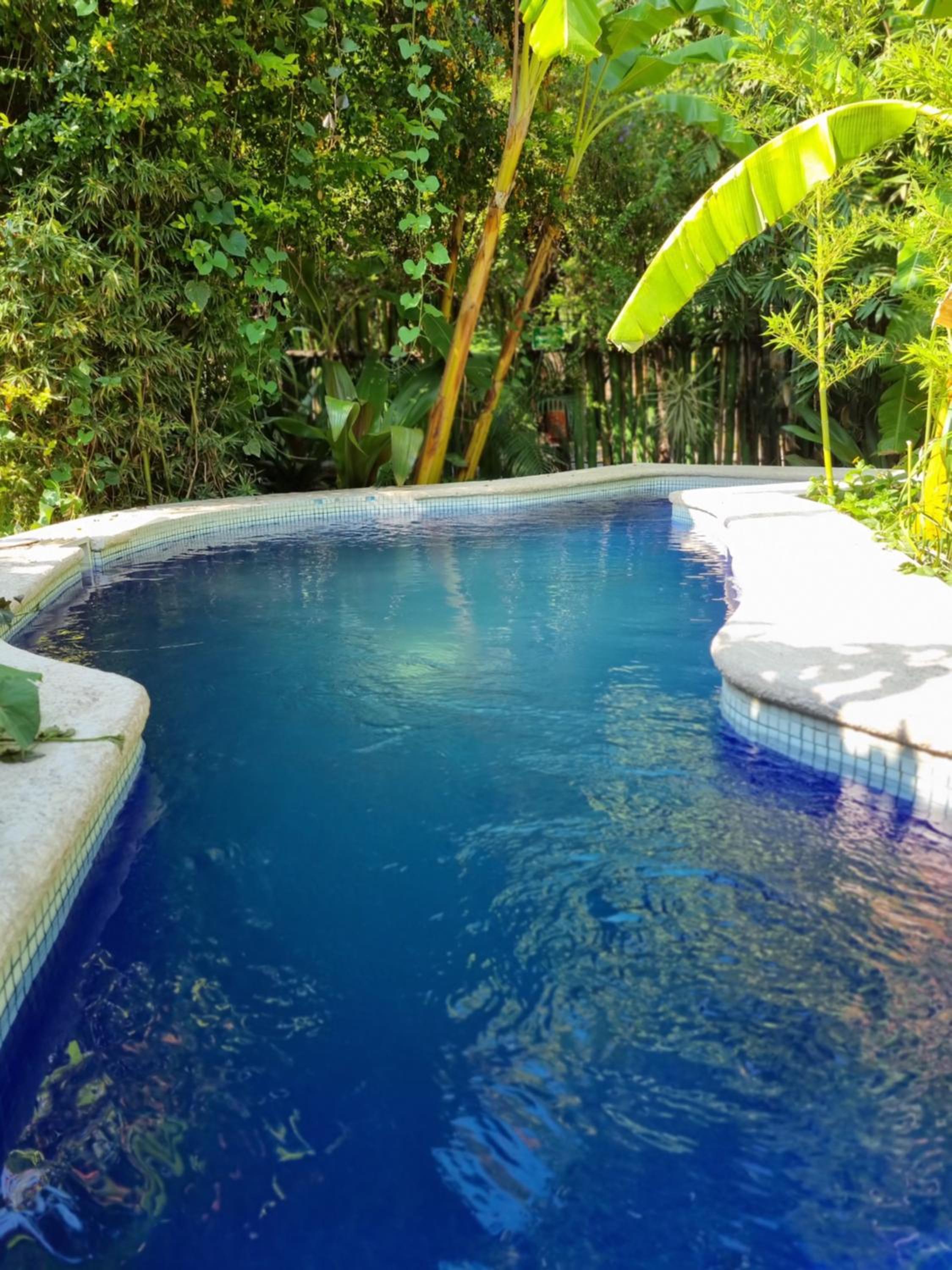 Eco Hotel Tahawi view 3