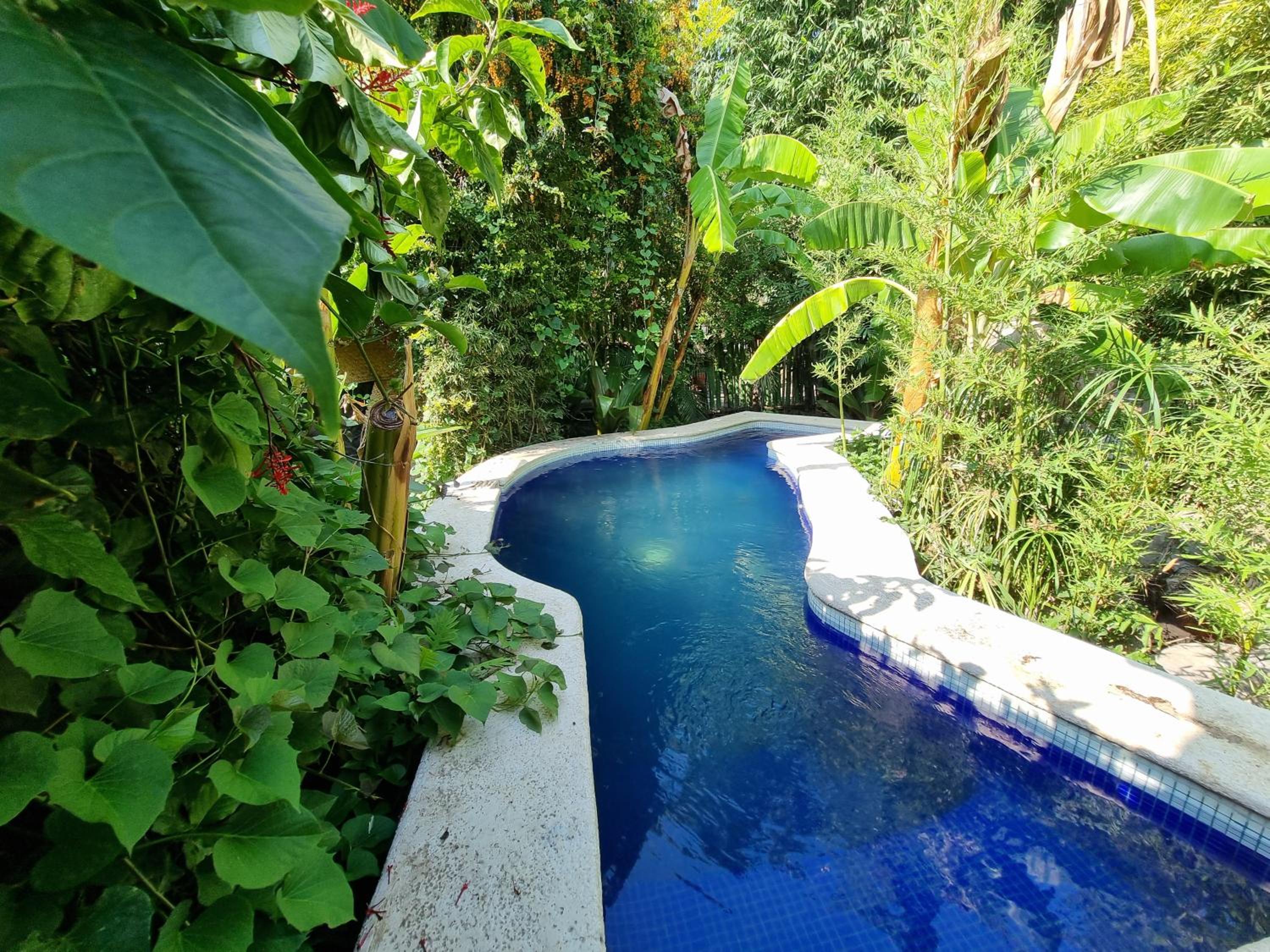 Eco Hotel Tahawi view 2