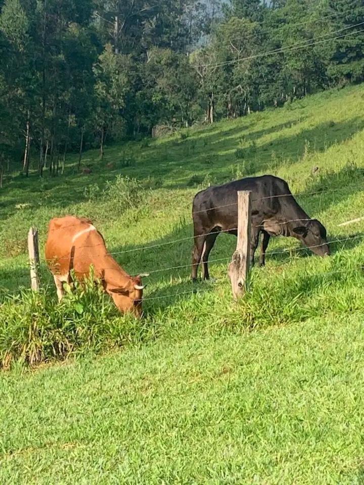 Paraíso nas Montanhas