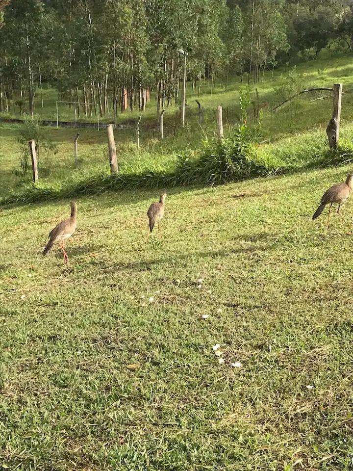 Paraíso nas Montanhas