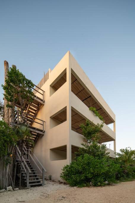 Jungle Sky Loft view 5