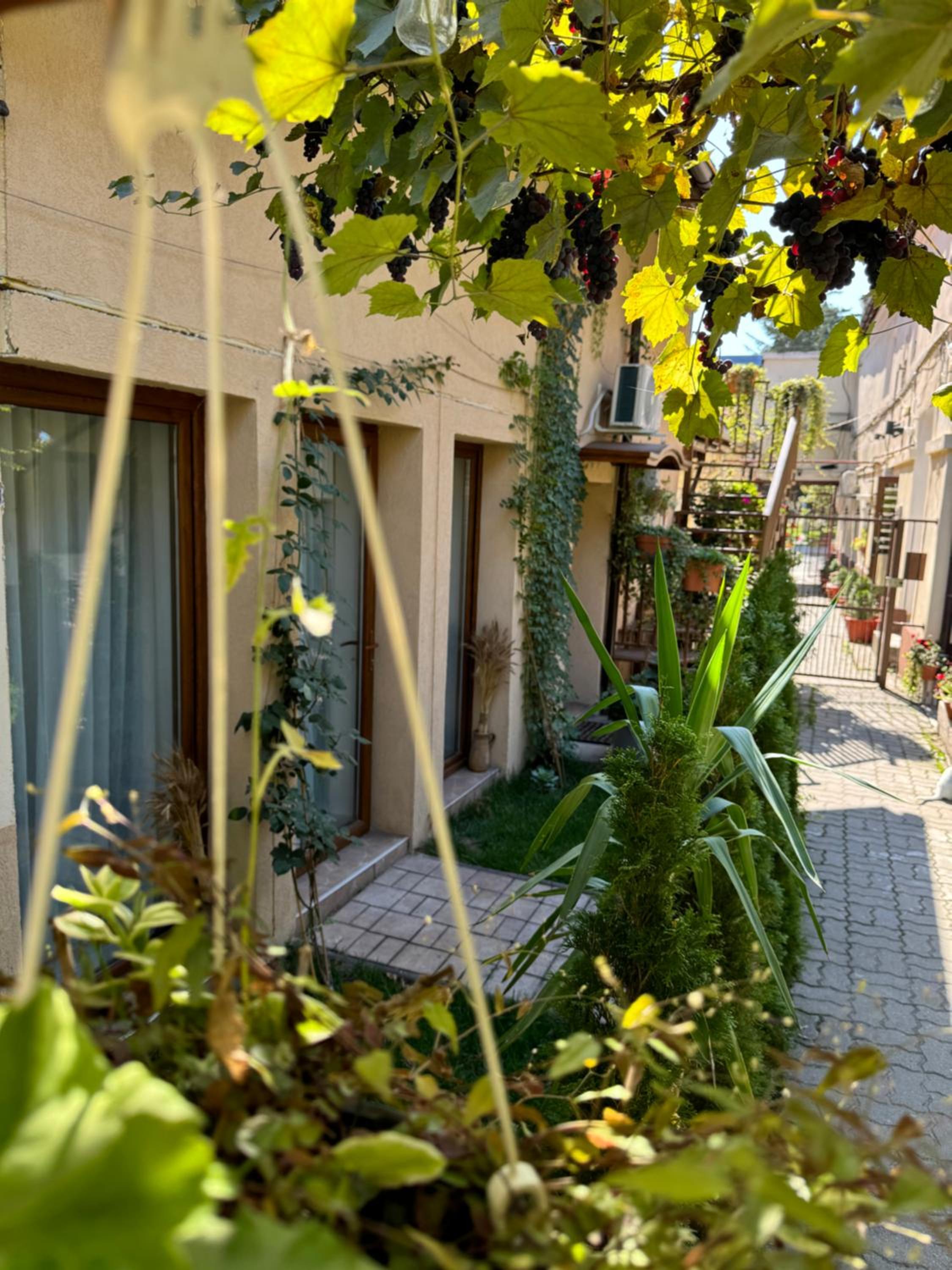Studio Rezistenta