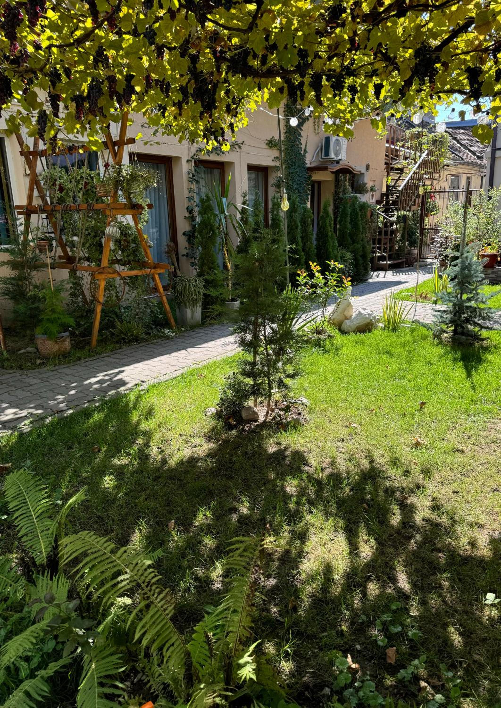 Studio Rezistenta