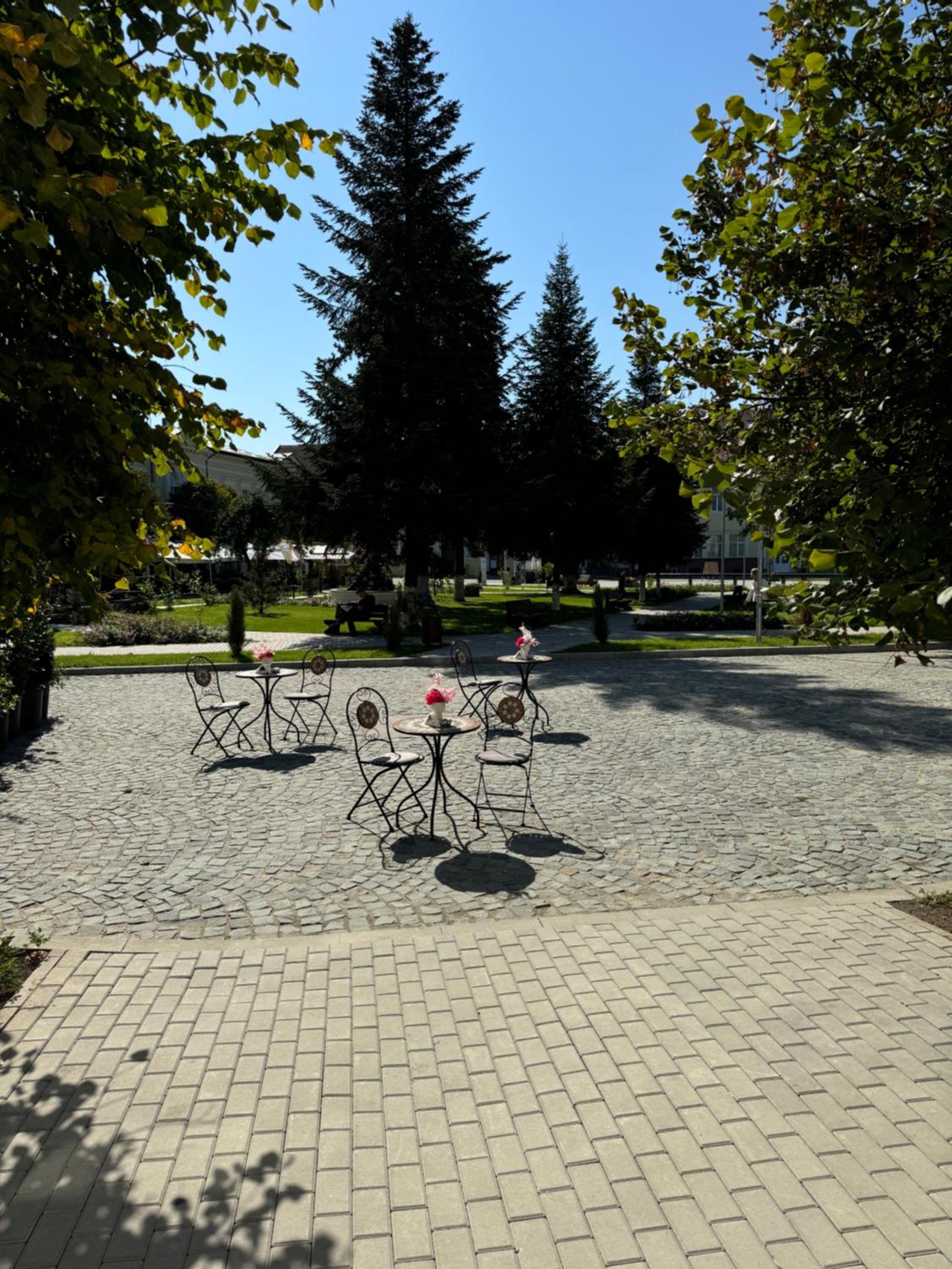 Studio Rezistenta