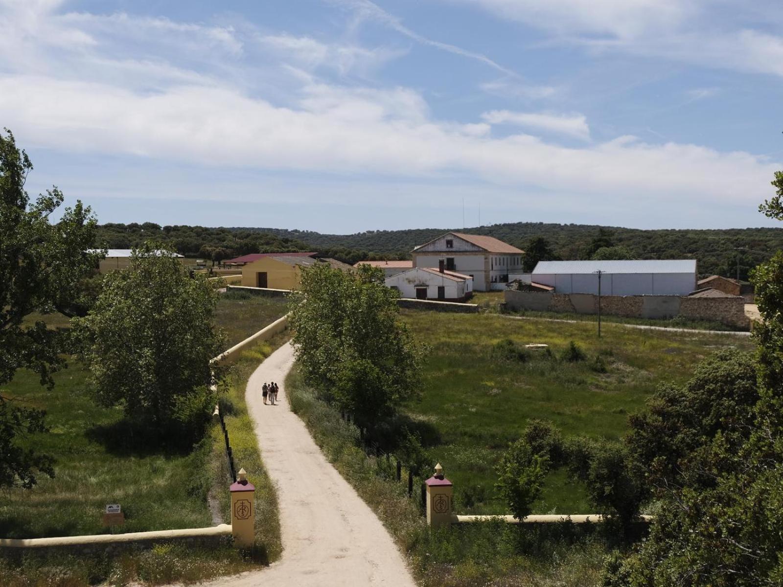 CASA RURAL PALACIO CONDE DE ALDANA con piscina entre encinares y dehesas