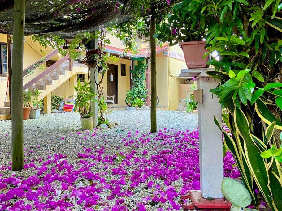 6 - Apartamento de 02 quartos com jacuzzi em Bombas