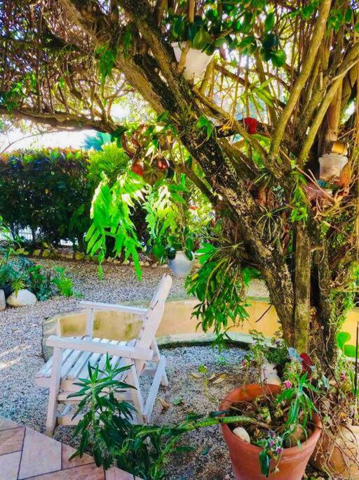6 - Apartamento de 02 quartos com jacuzzi em Bombas